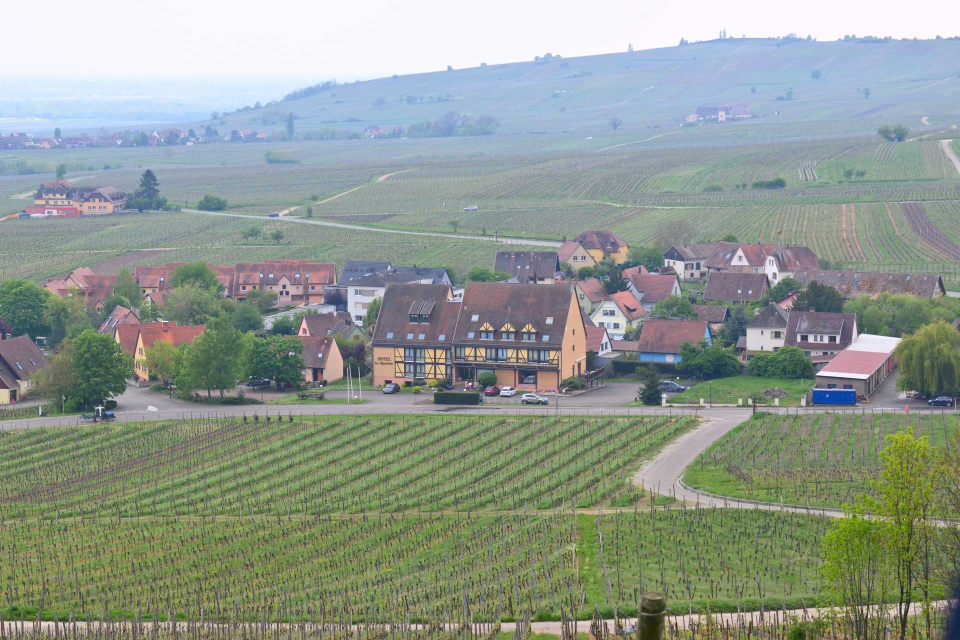 Colmar 4th Day Riquewihr Petit Train SAAT 43