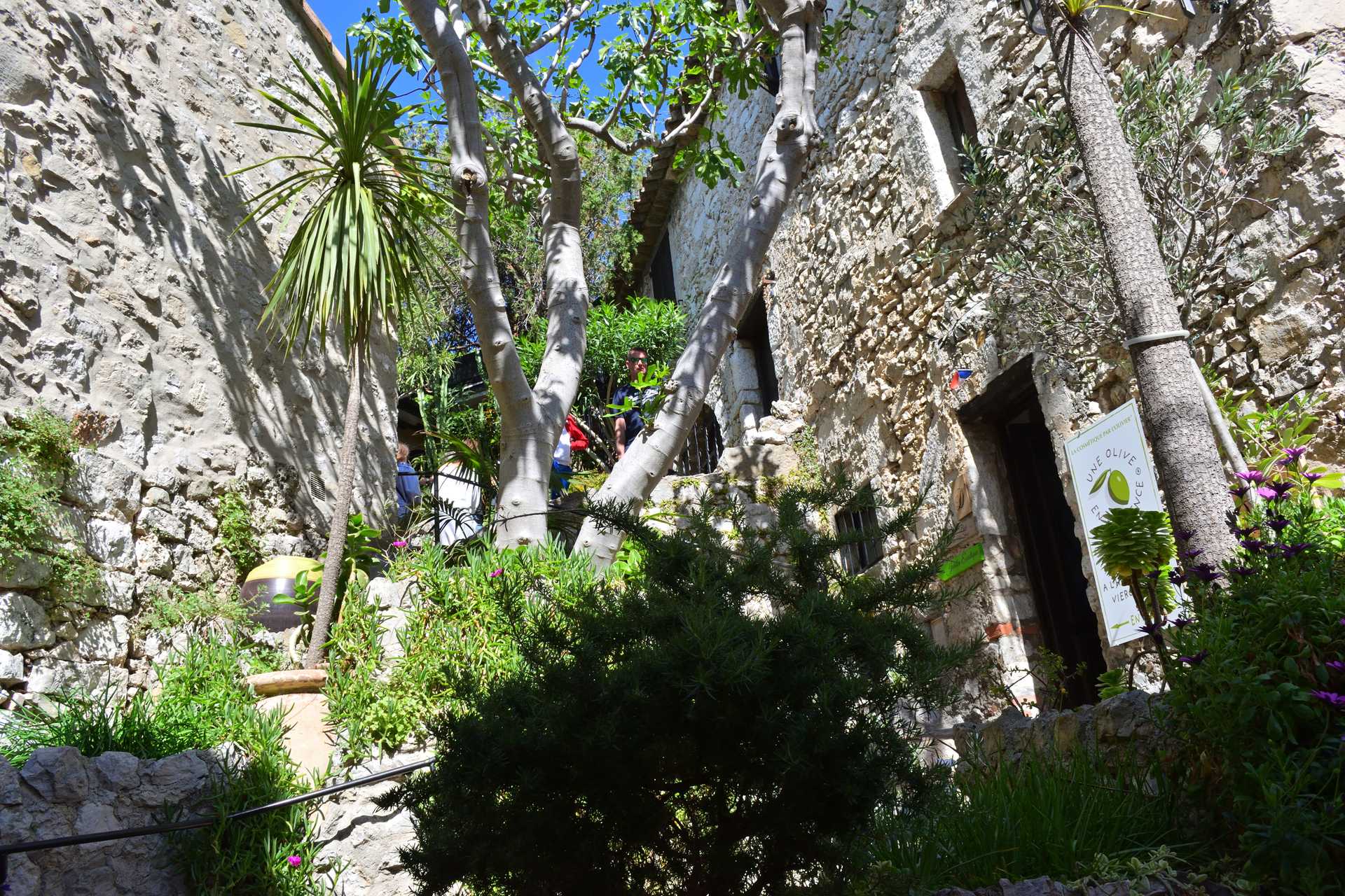 6th Day Eze Village towards Exotic Jardin 68