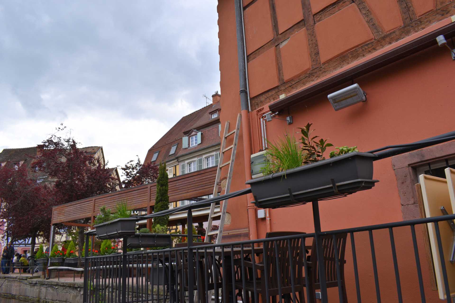 Colmar 3rd Day Sweet Narcisse Go 34