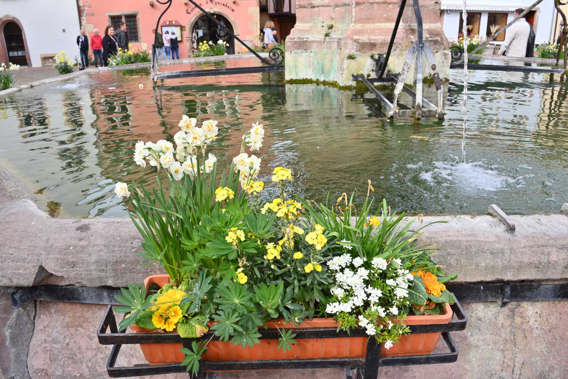 Colmar 3rd Day Eguisheim Pl du Chateau Saint Leon 17