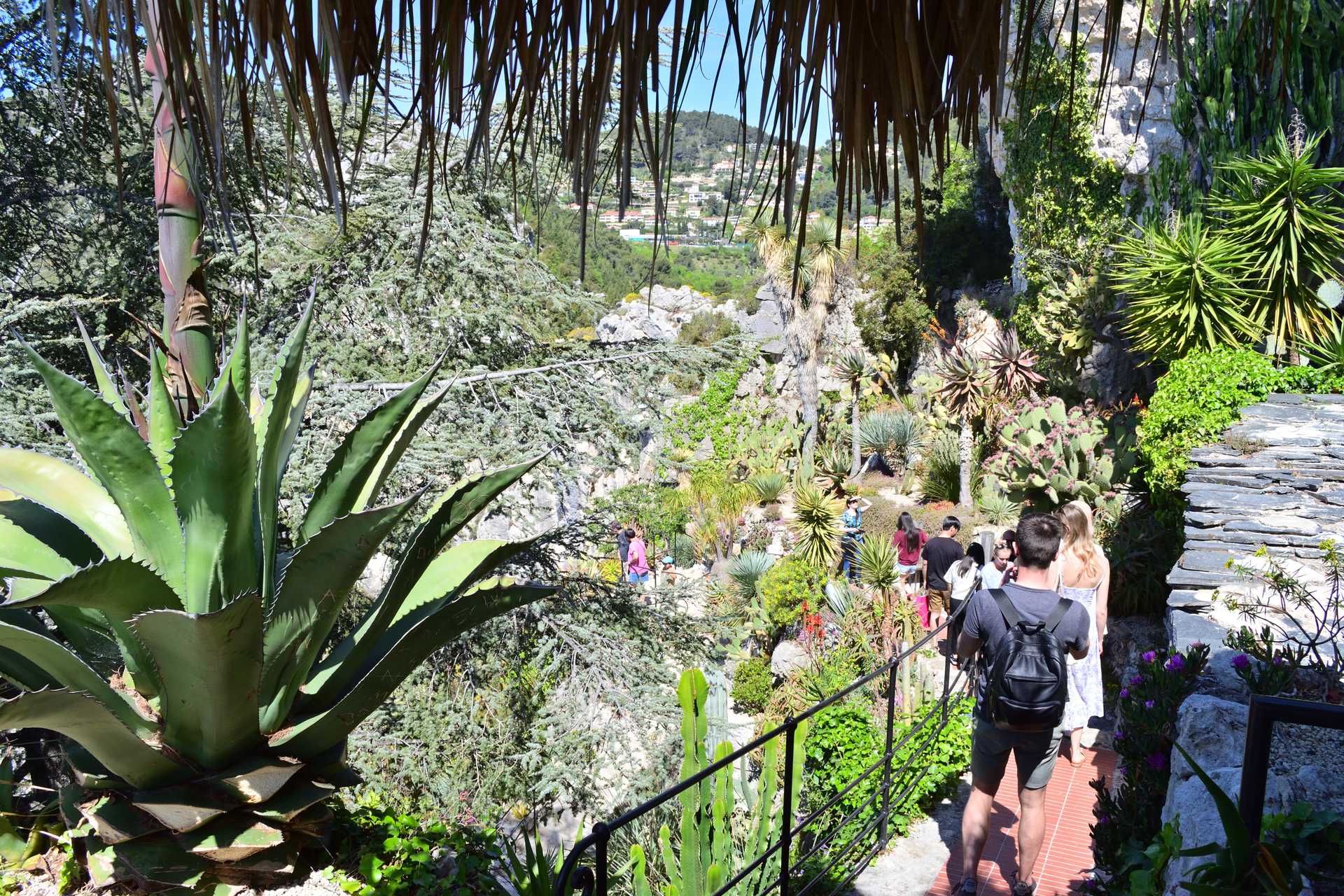 6th Day Eze Village Exotic Jardin Walk Around 41