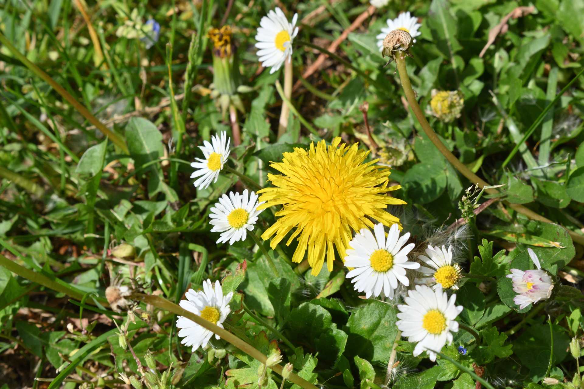 Colmar 3rd Day to Office de Tourism 4