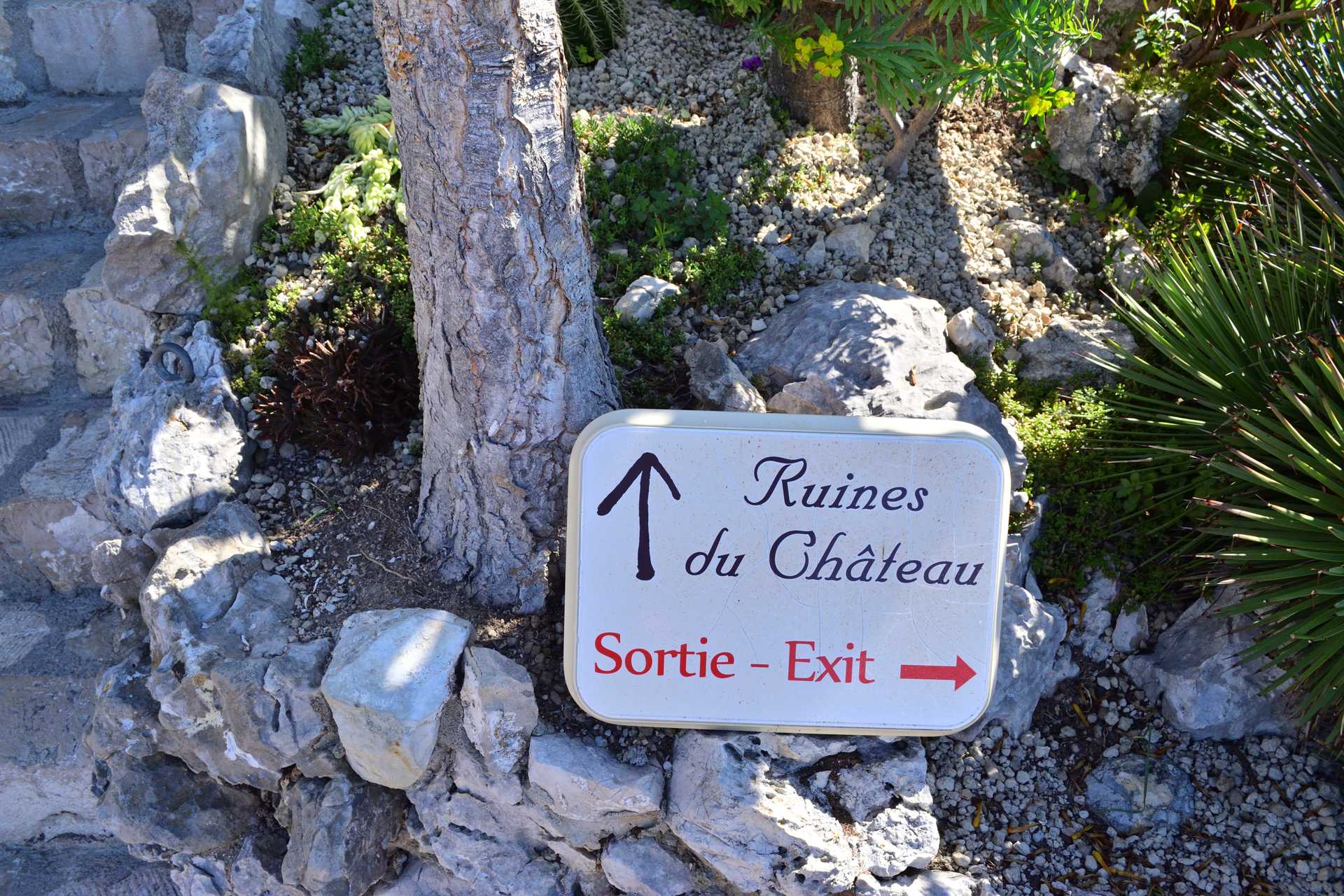 6th Day Eze Village Exotic Jardin to The Top 12
