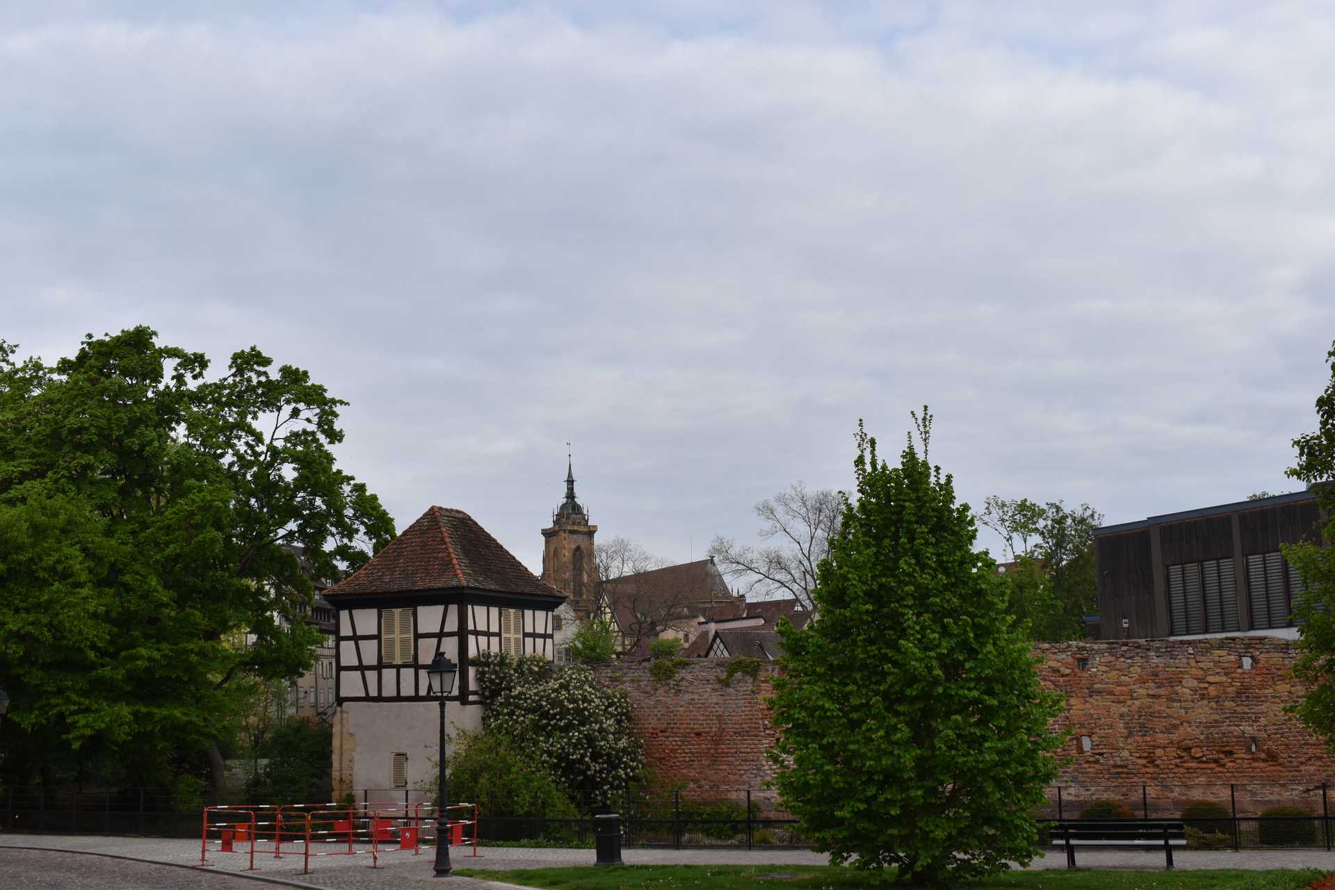 Colmar 2nd Day Morning 13