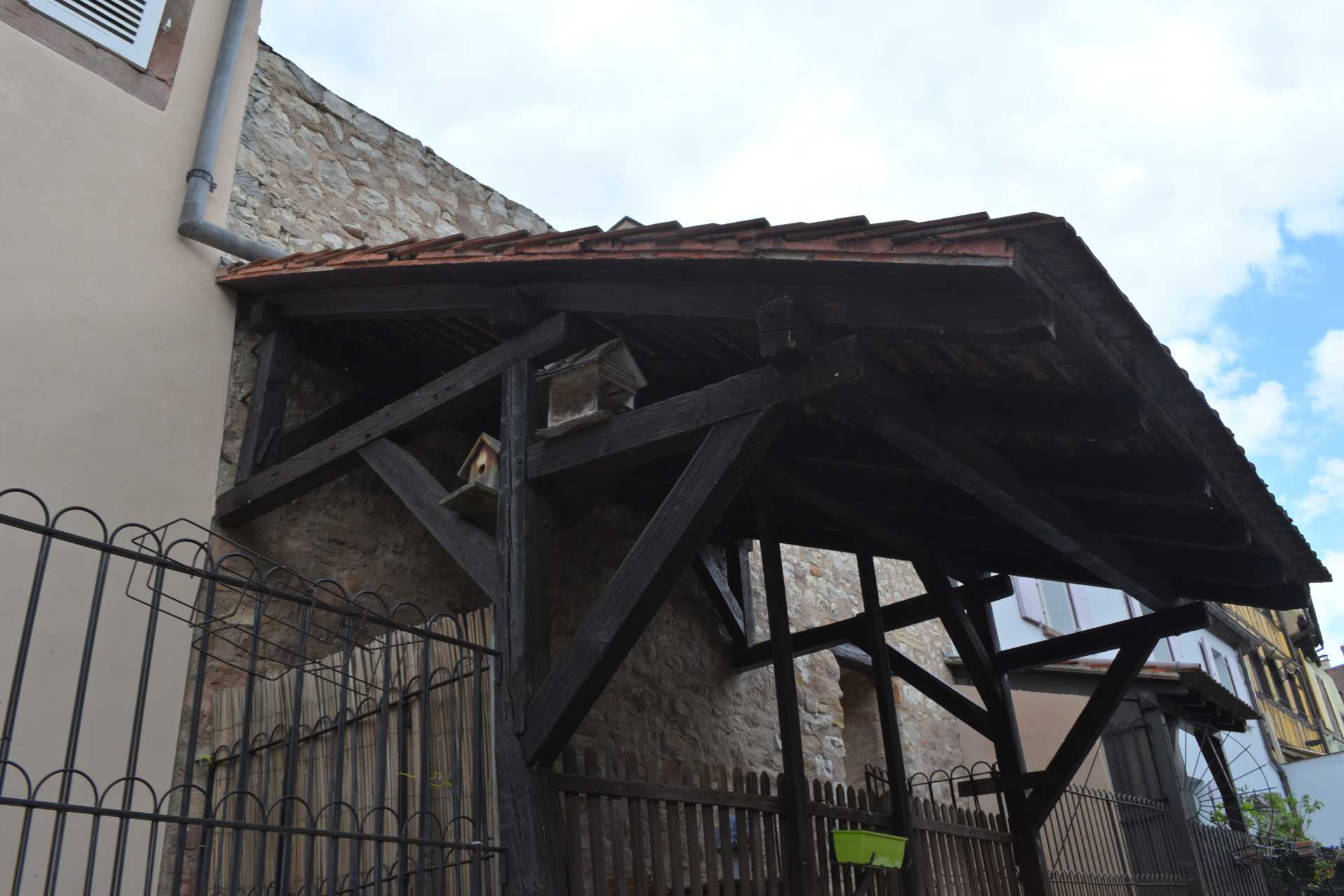 Colmar 3rd Day Sweet Narcisse Go 14