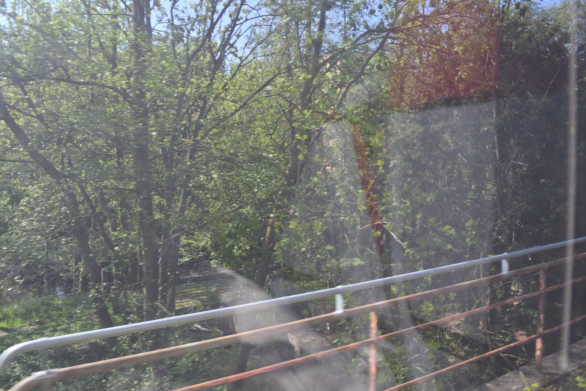 5th Day TER to Strasbourg 8