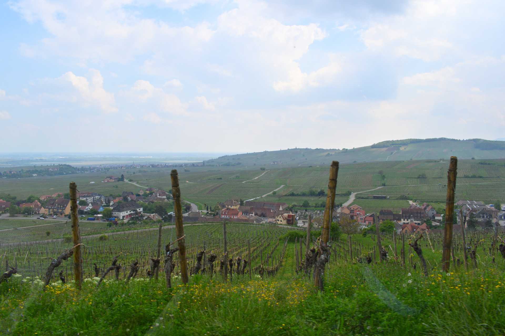Colmar 4th Day Riquewihr Petit Train SAAT 41