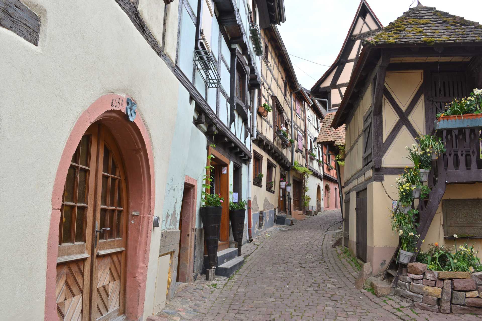 Colmar 3rd Day Eguisheim La Grange d'Eguisheim 8
