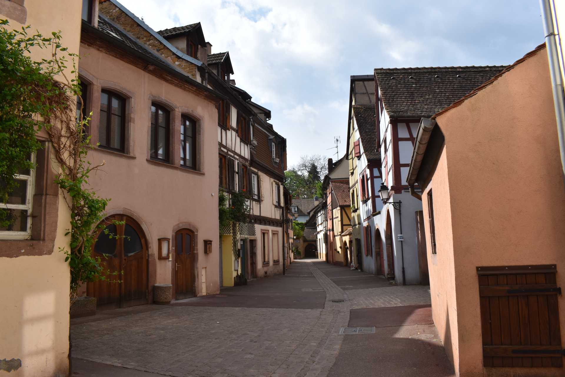 Colmar 3rd Day to Sweet Narcisse 5