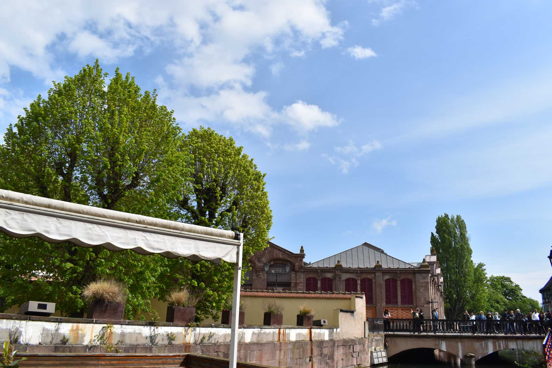 Colmar 3rd Day to Sweet Narcisse 3