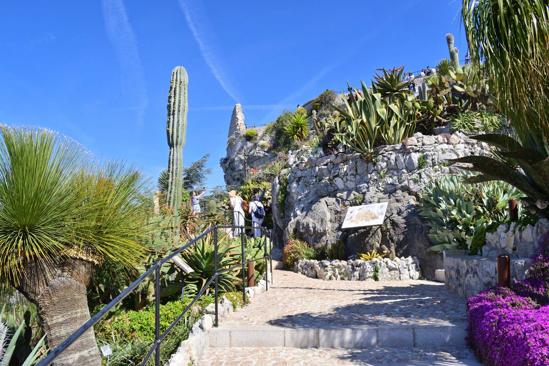 6th Day Eze Village Exotic Jardin to The Top 4