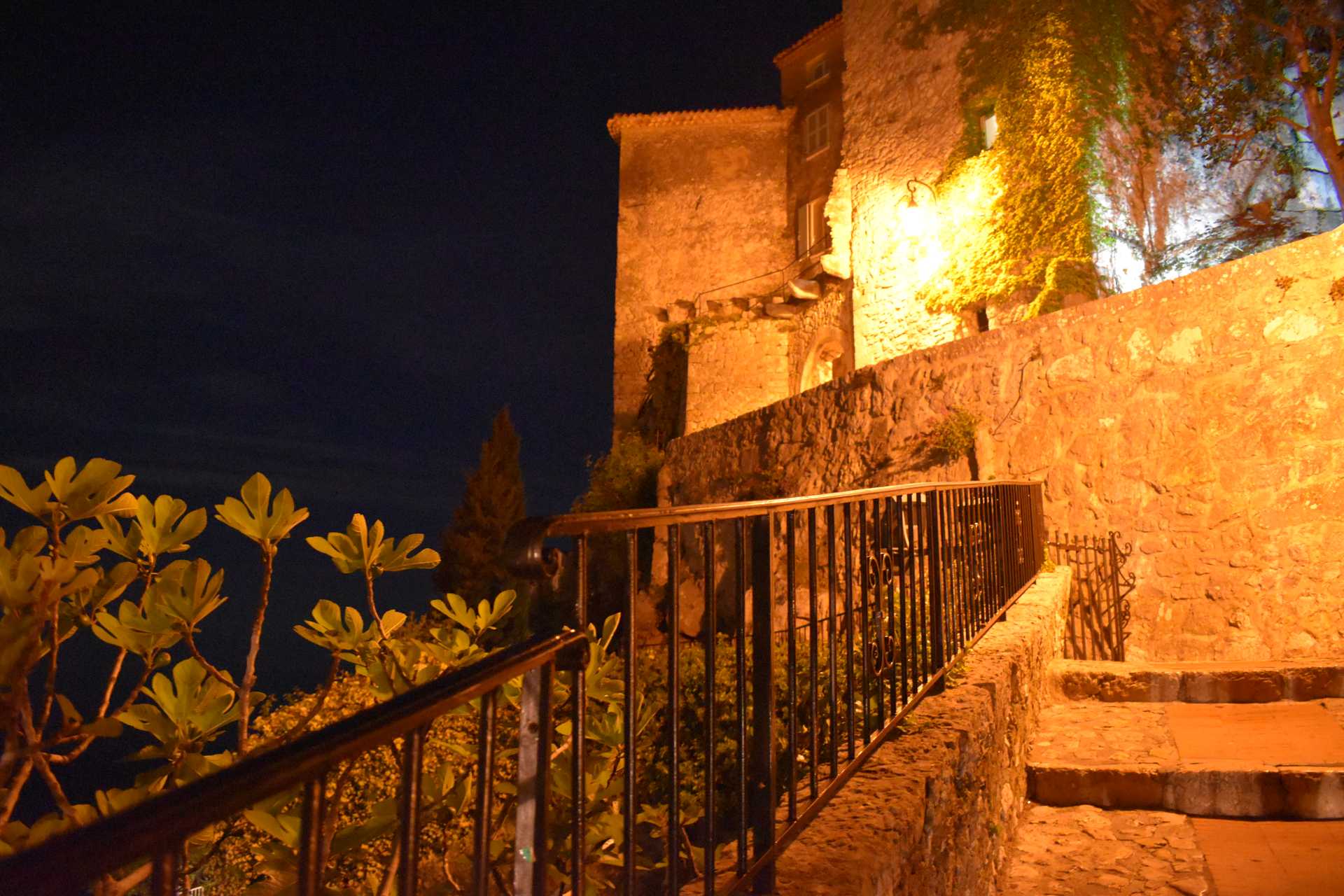 6th Day Eze Village Night Walk 12