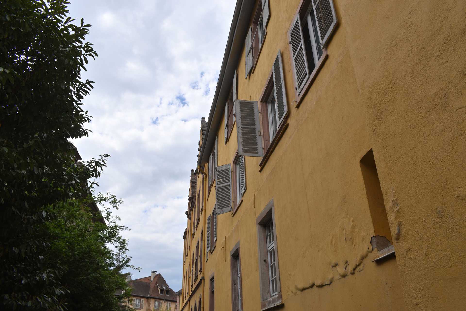 Colmar 3rd Day Sweet Narcisse Return 27