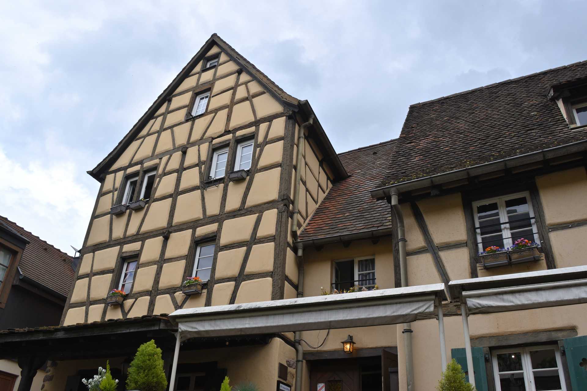 Colmar 3rd Day Sweet Narcisse Go 12