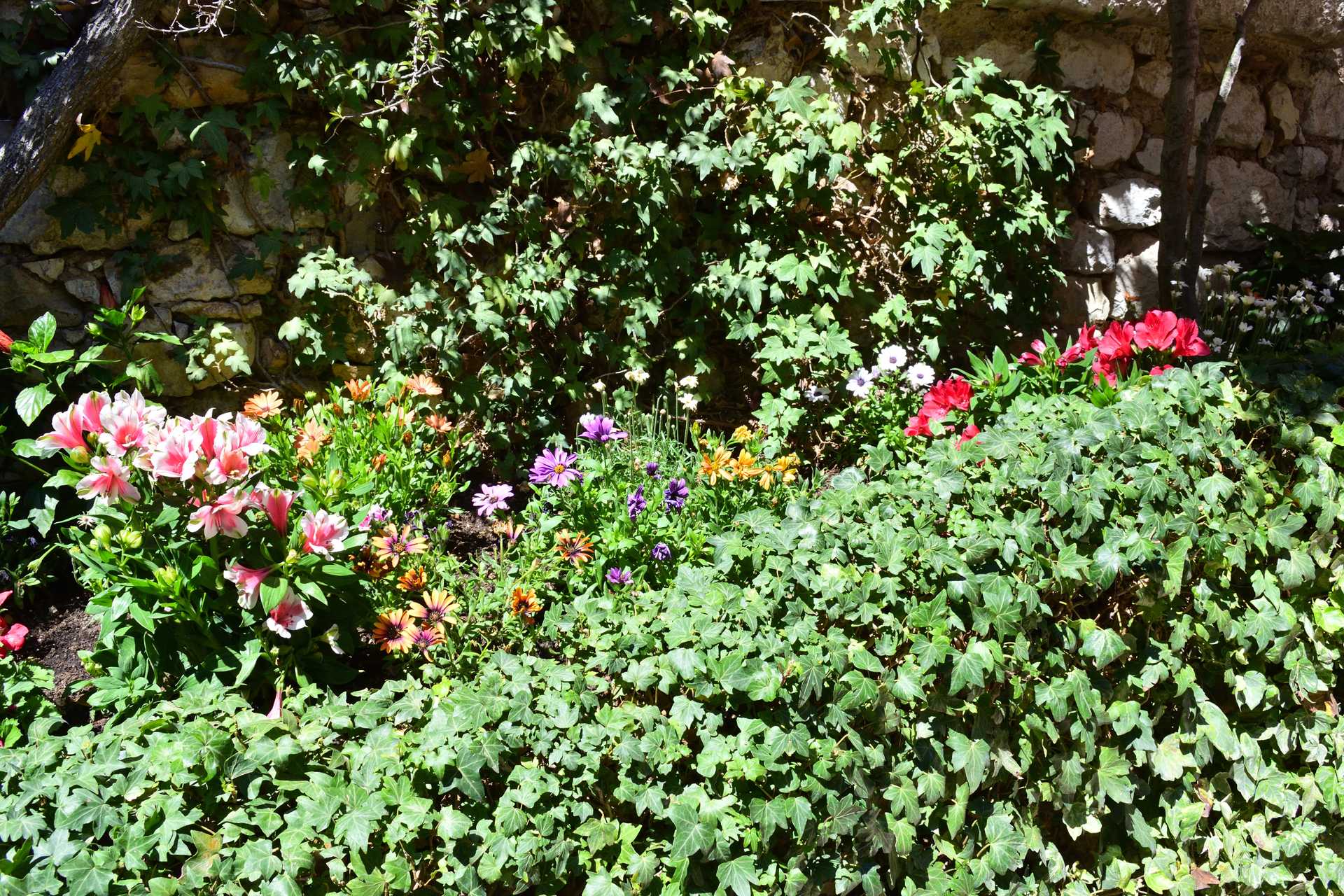 6th Day Eze Village Walk Around the Village 20