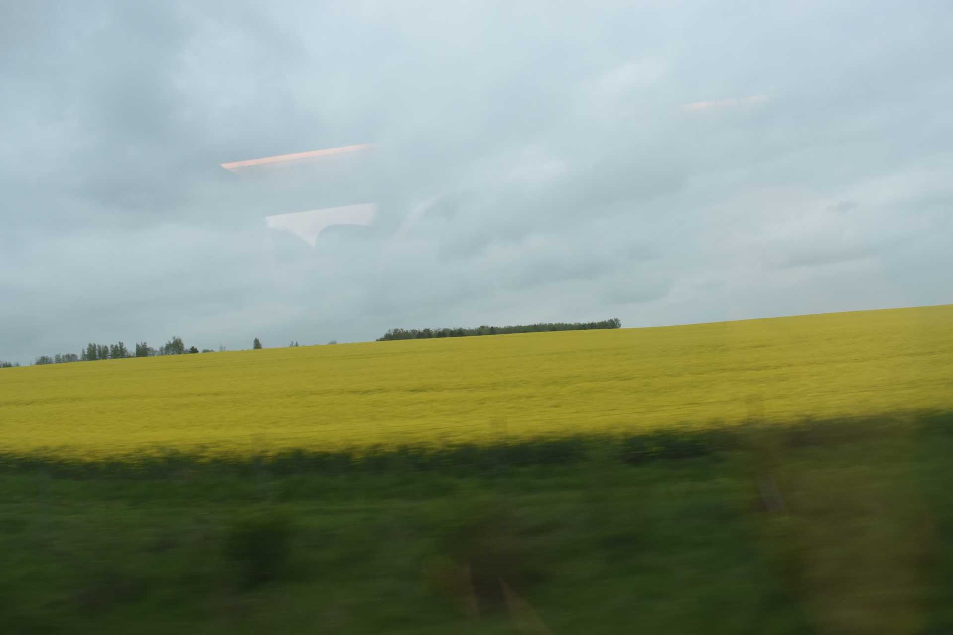 TGV to Strasbourg Window View 8