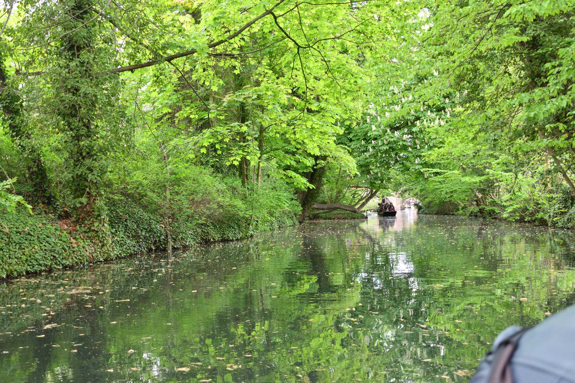 Colmar 3rd Day Sweet Narcisse Go 6