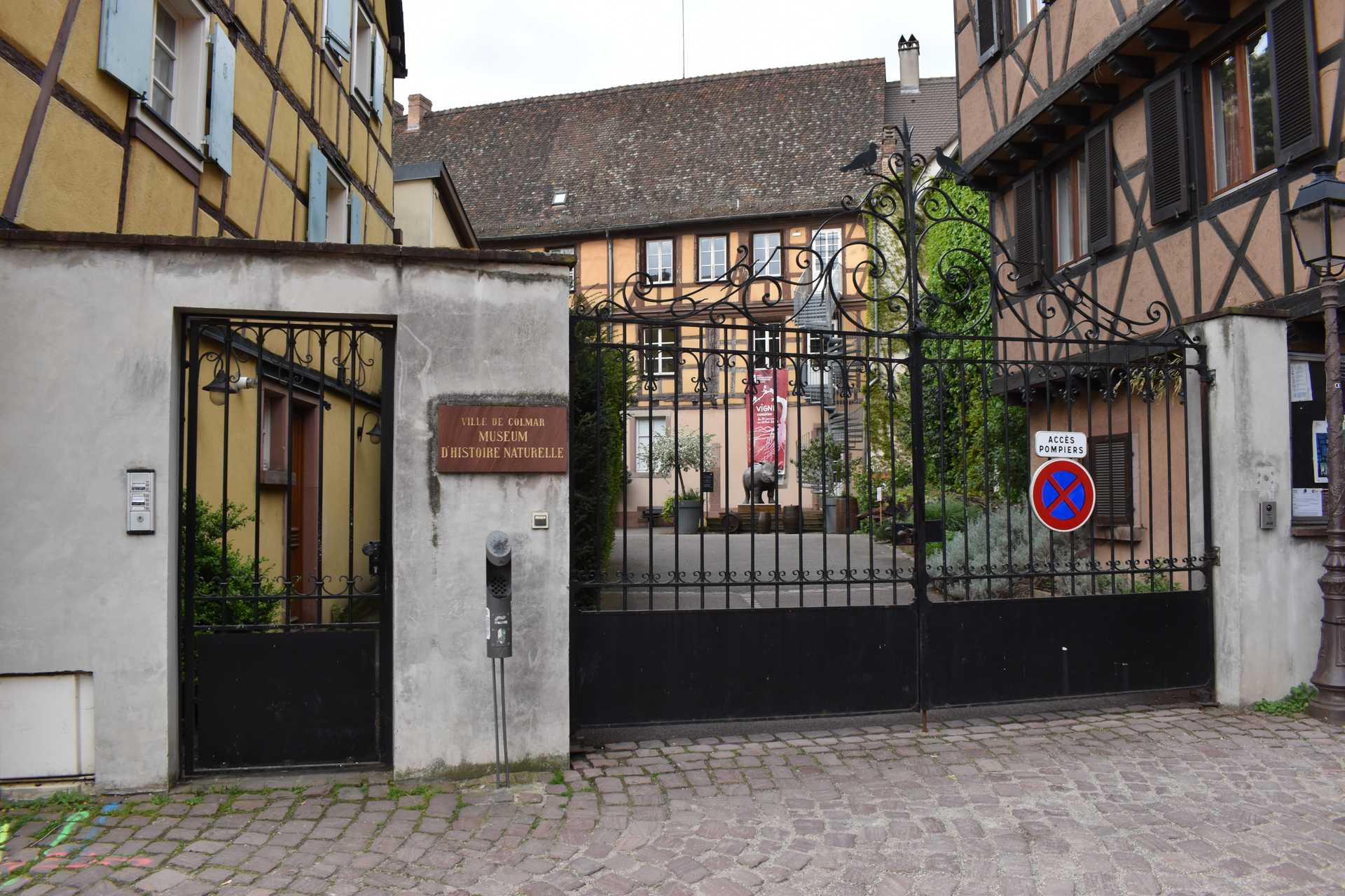 Colmar 2nd Day Morning Museum d'Histoire Naturelle