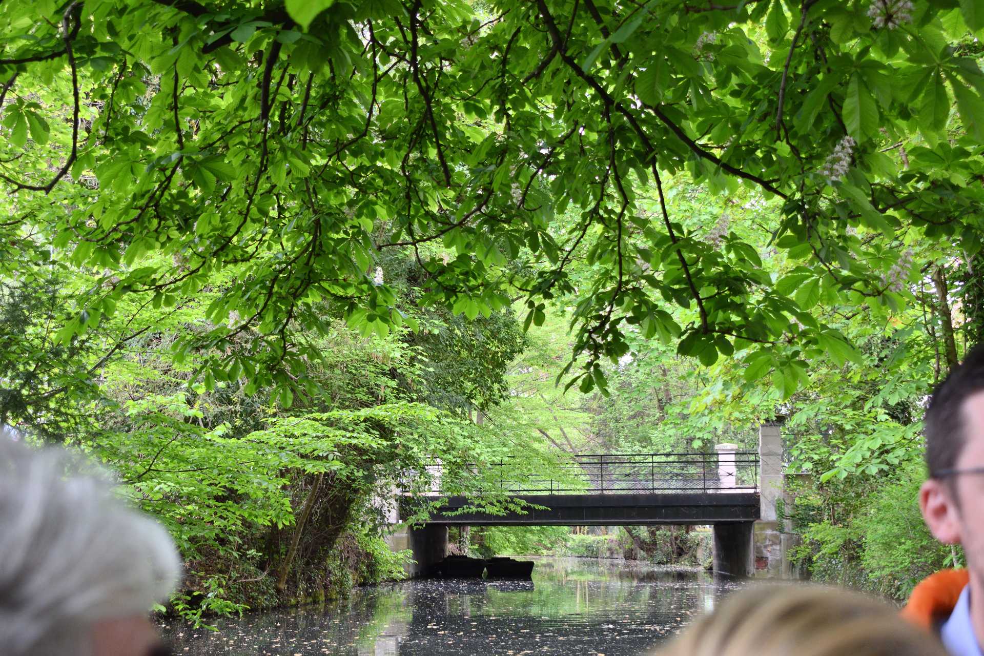 Colmar 3rd Day Sweet Narcisse Go 3