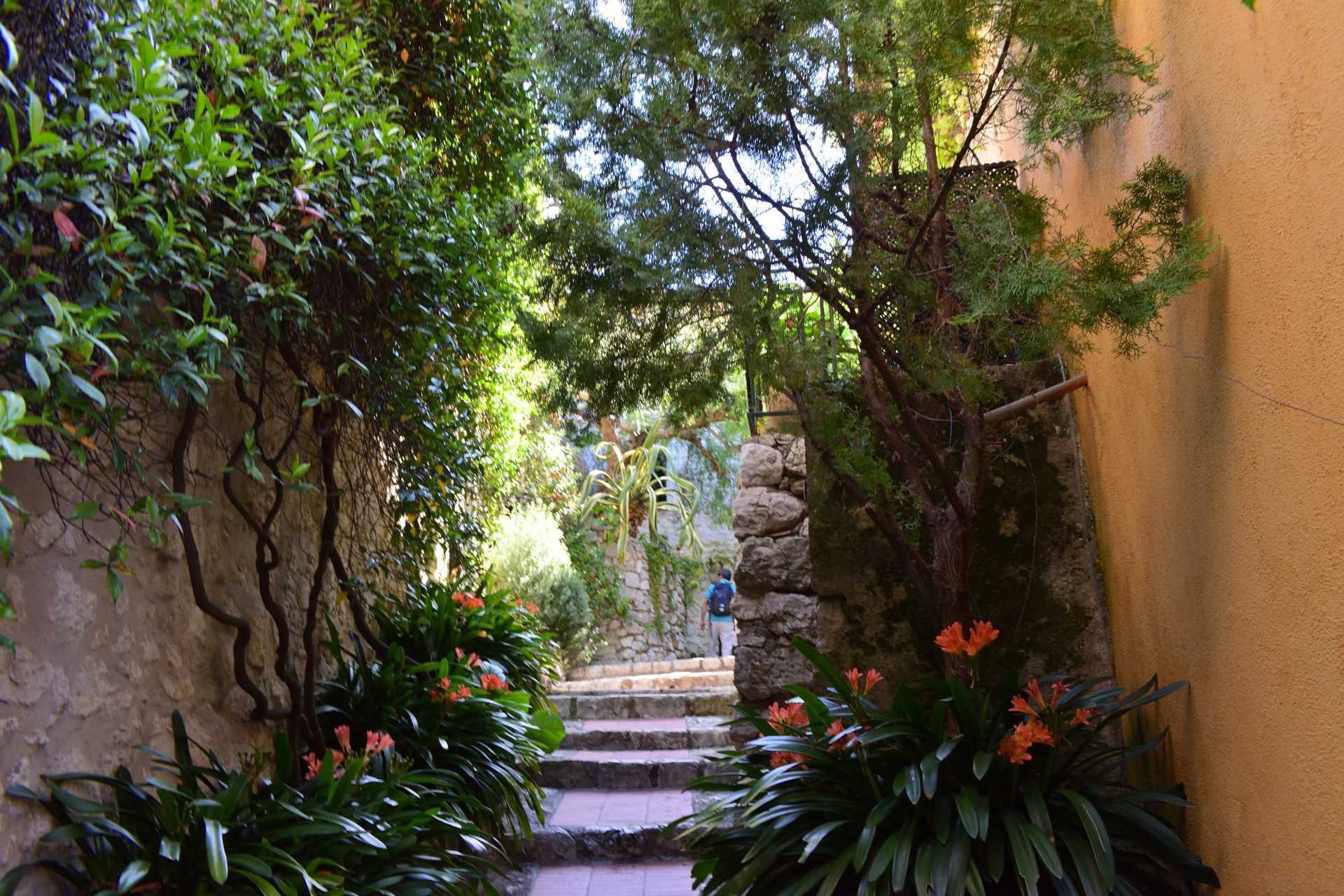 6th Day Eze Village towards Exotic Jardin 49