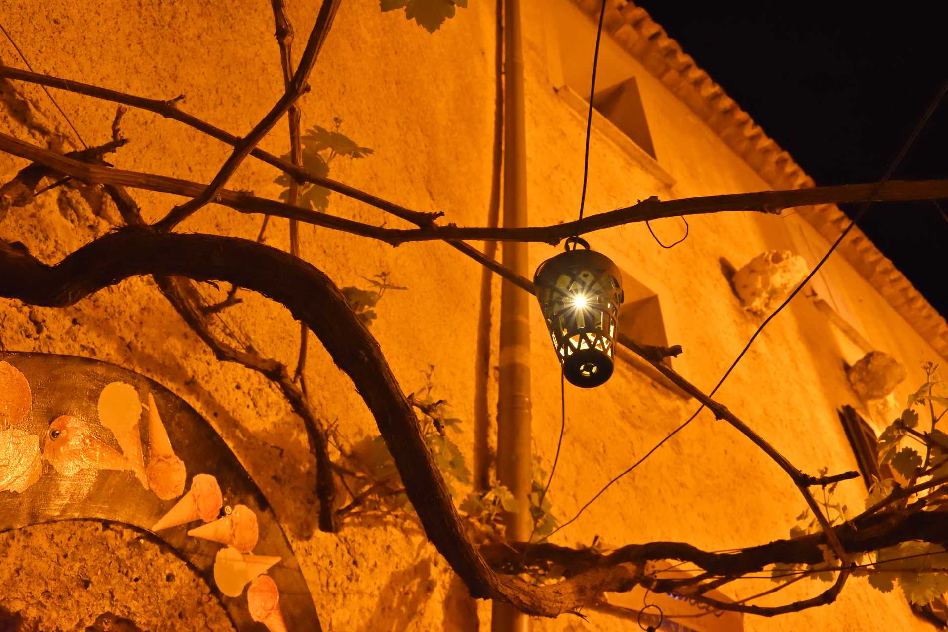 6th Day Eze Village Night Walk 37
