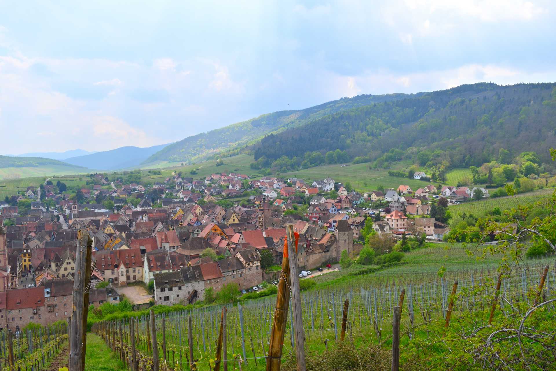 Colmar 4th Day Riquewihr Petit Train SAAT 28