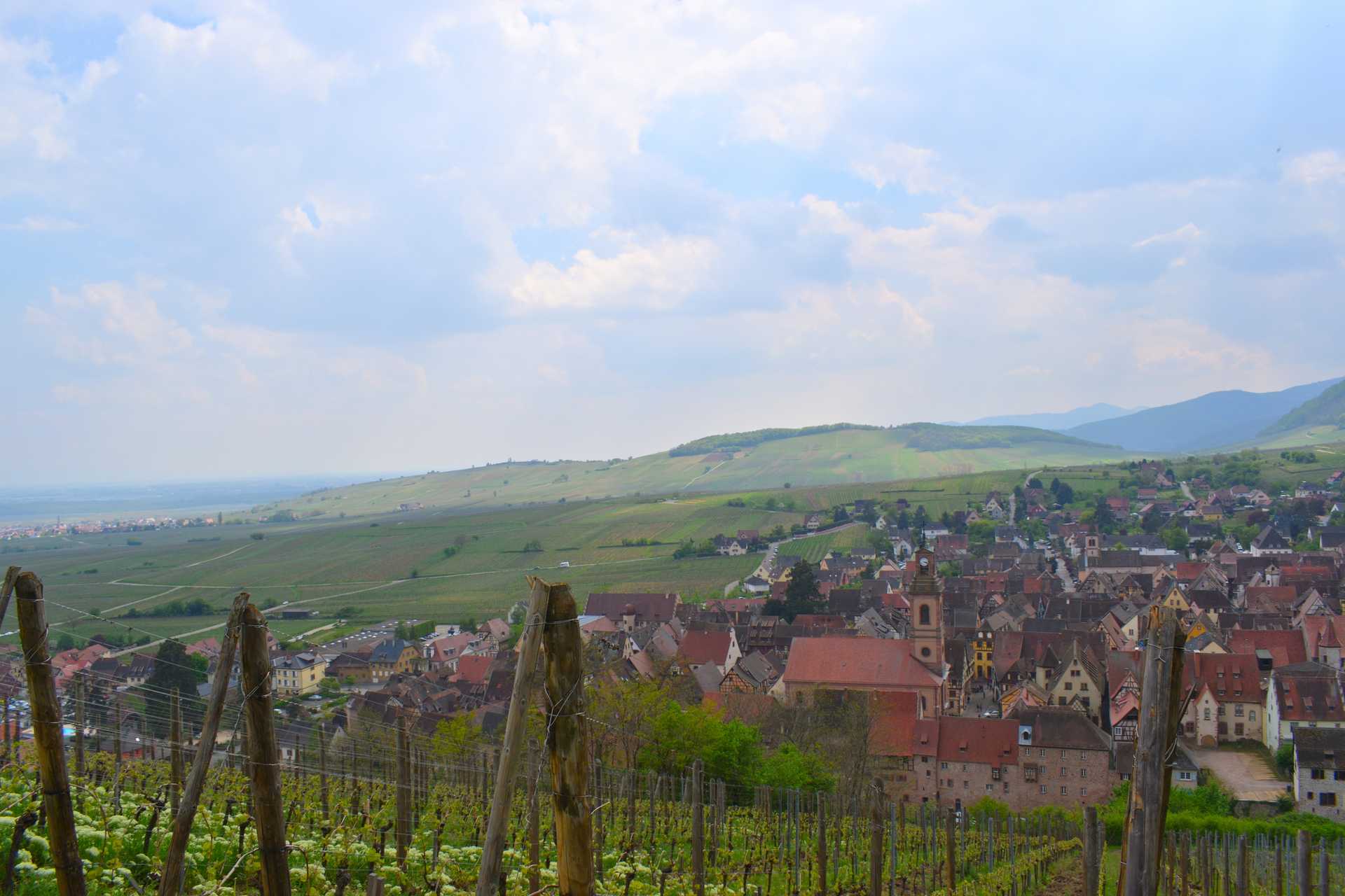 Colmar 4th Day Riquewihr Petit Train SAAT 31