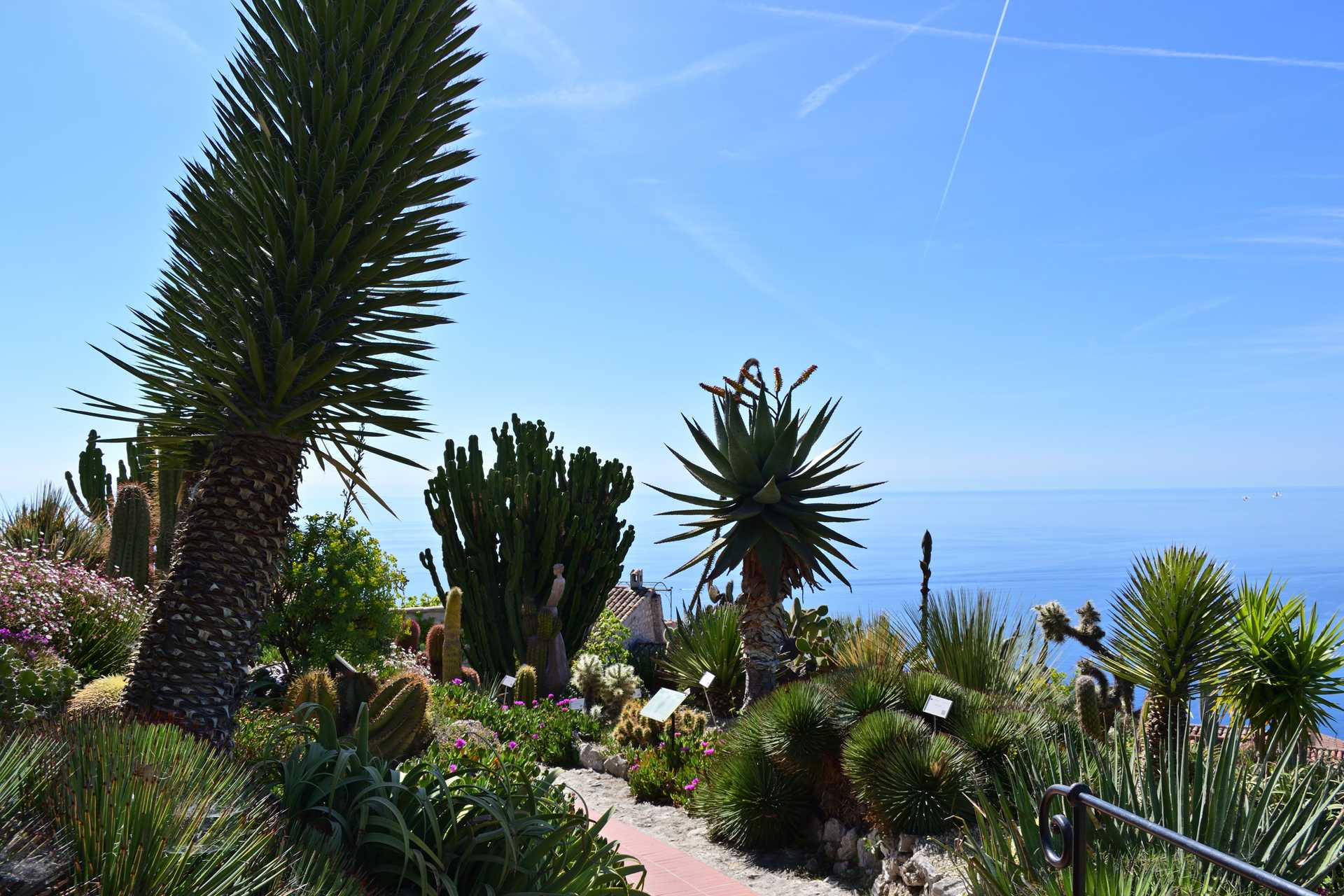 6th Day Eze Village Exotic Jardin Walk Around 6