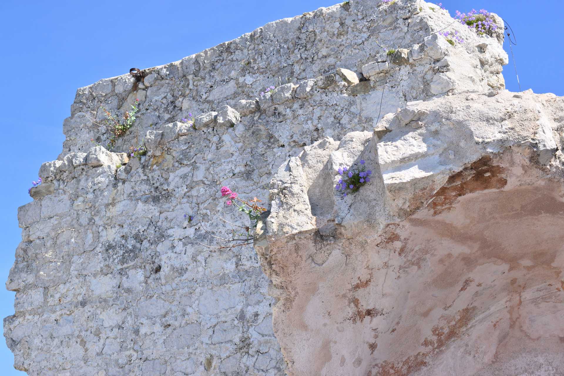 6th Day Eze Village Exotic Jardin The Top 10