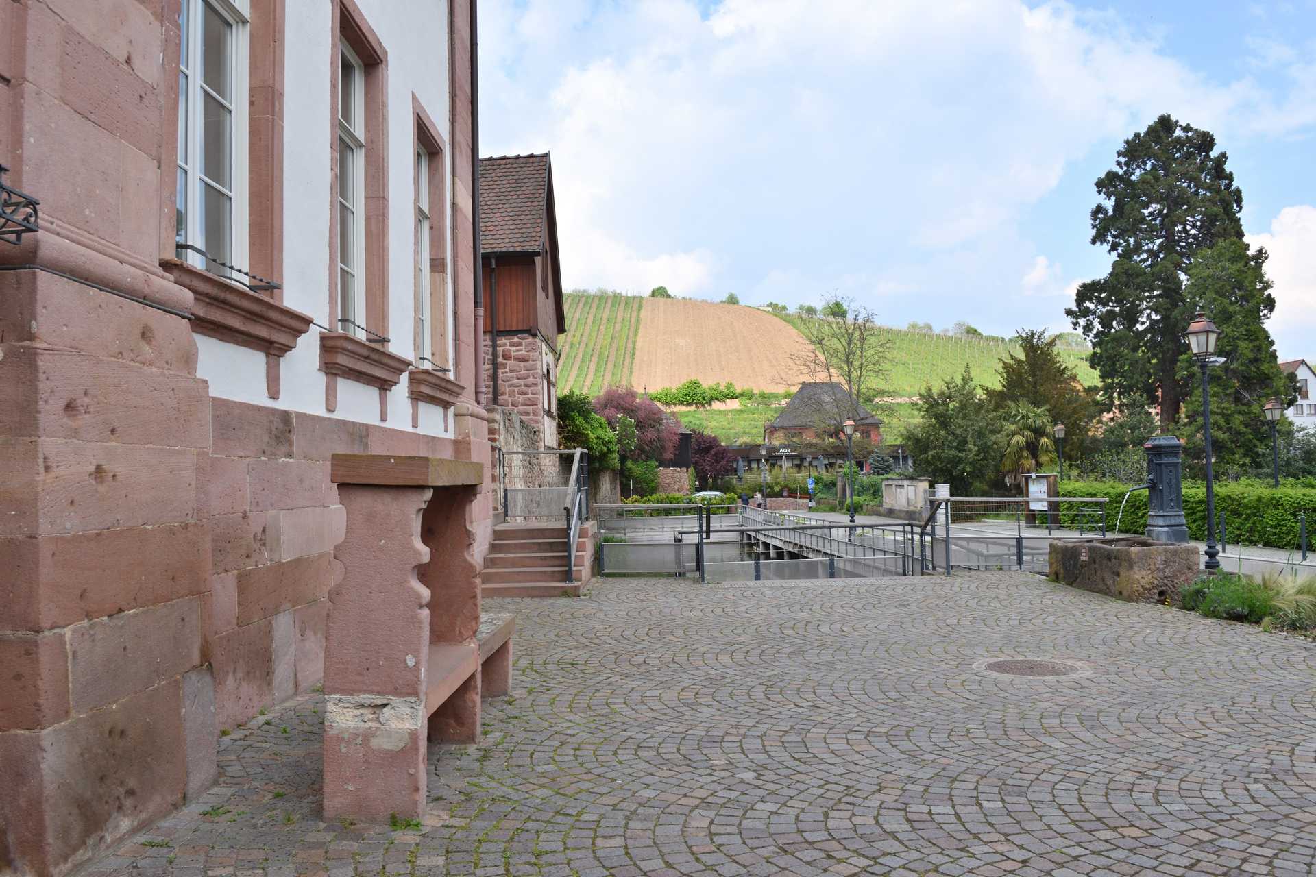Colmar 4th Day Riquewihr Petit Train SAAT 4