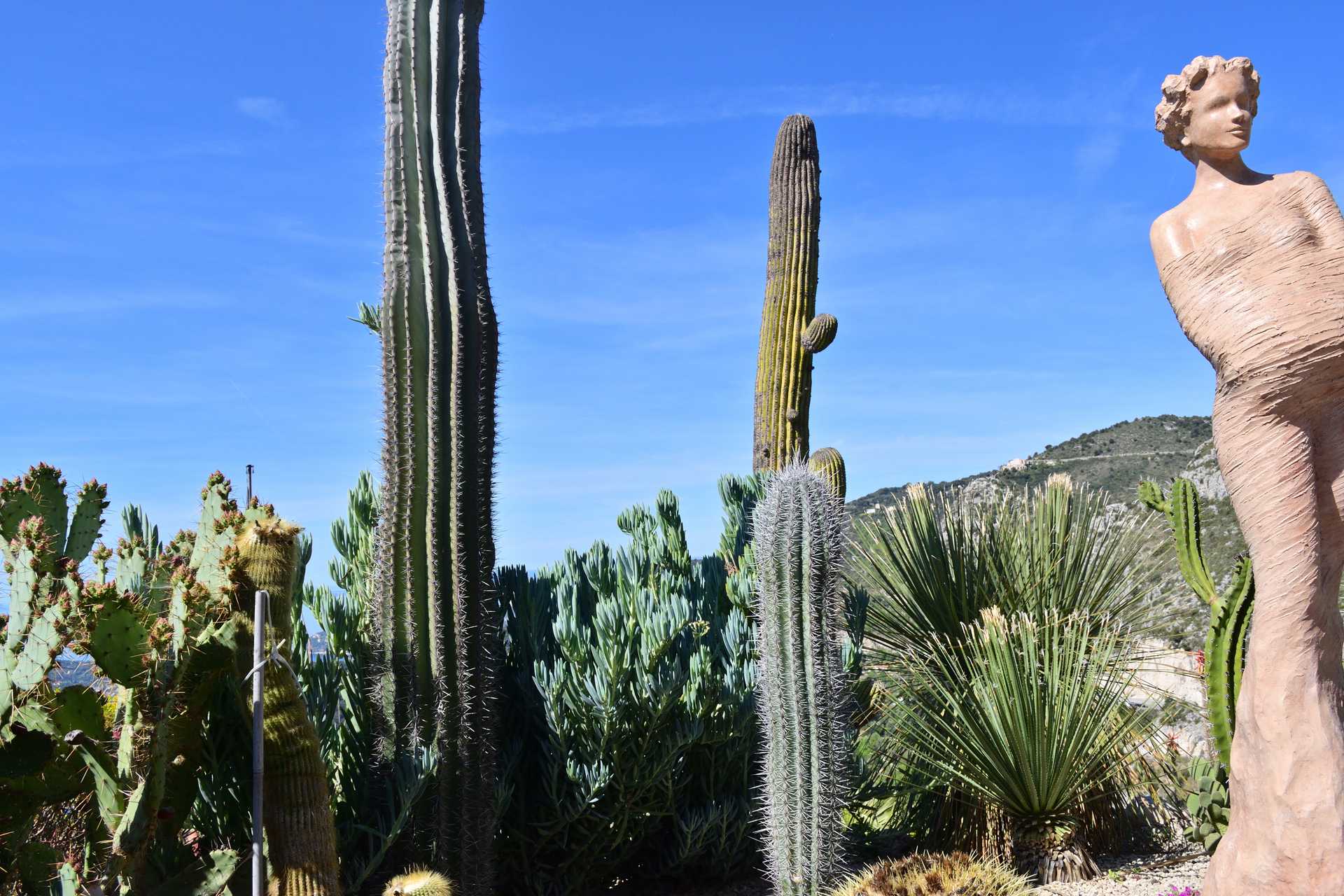 6th Day Eze Village Exotic Jardin to The Top 3