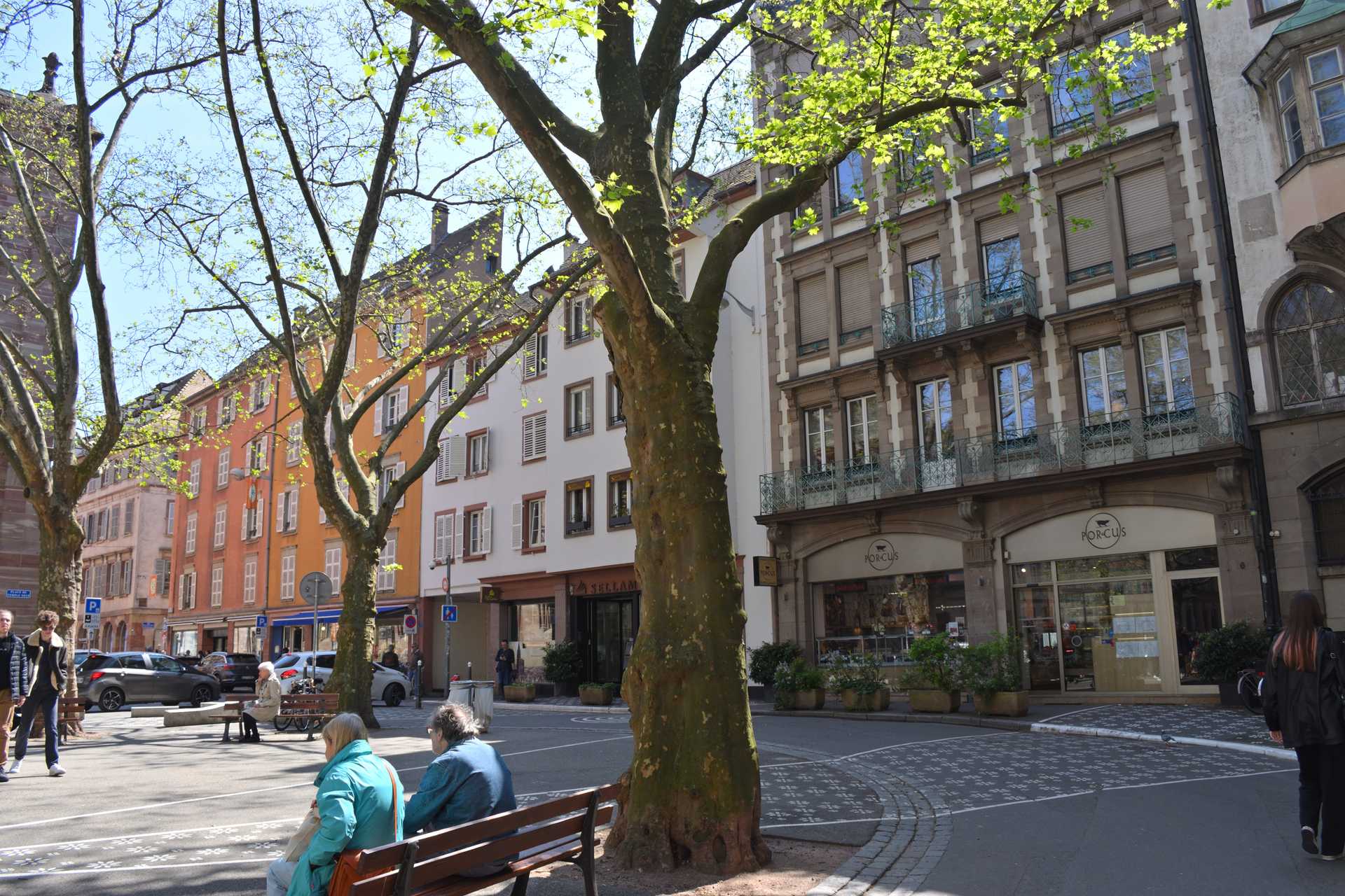5th Day Strasbourg to Cathedrale Notre Dame 68
