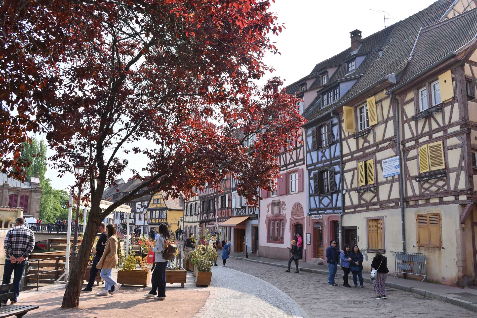 Colmar 4th Day to Gare de Colmar 5
