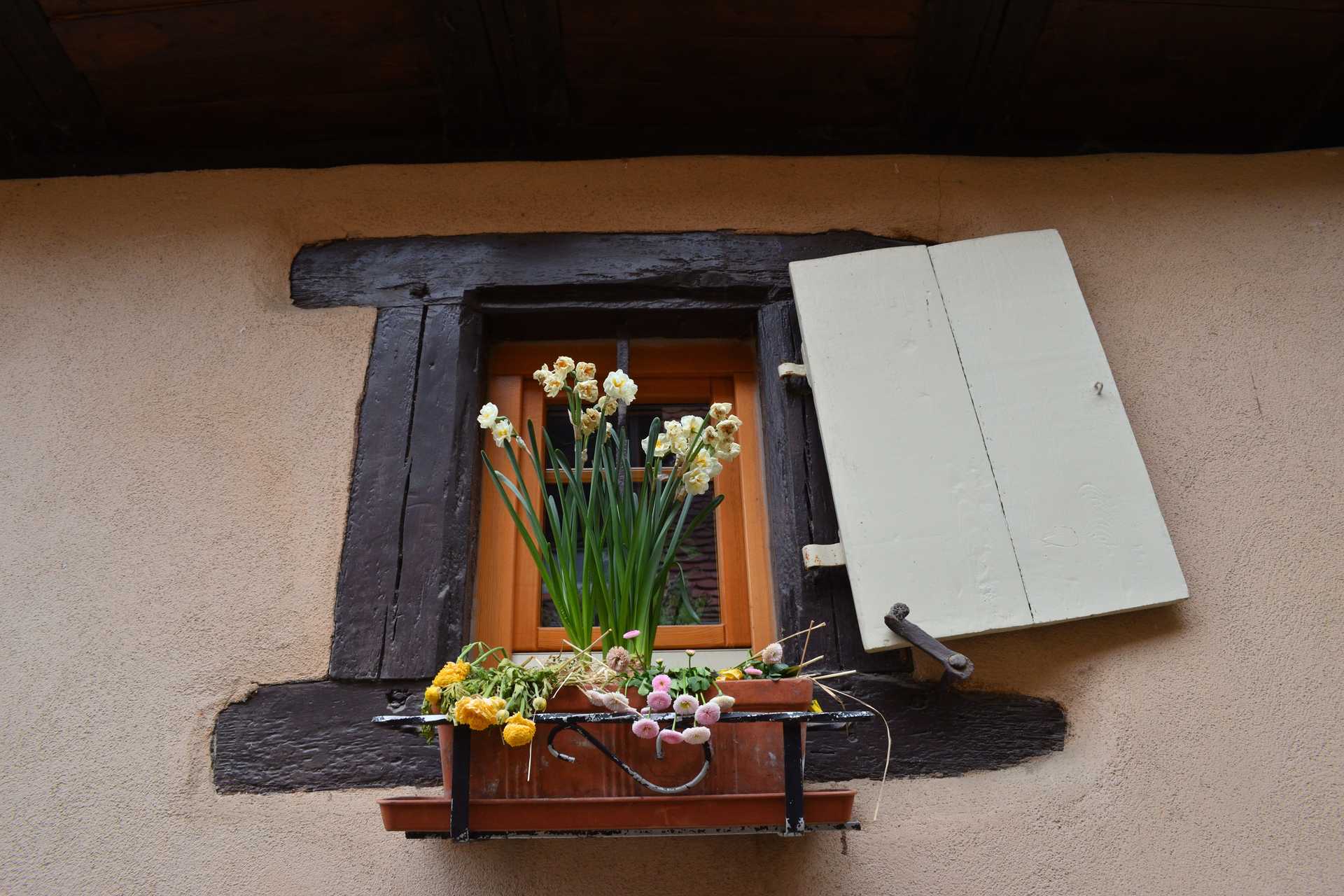 Colmar 3rd Day Eguisheim Rue du Rempart 11