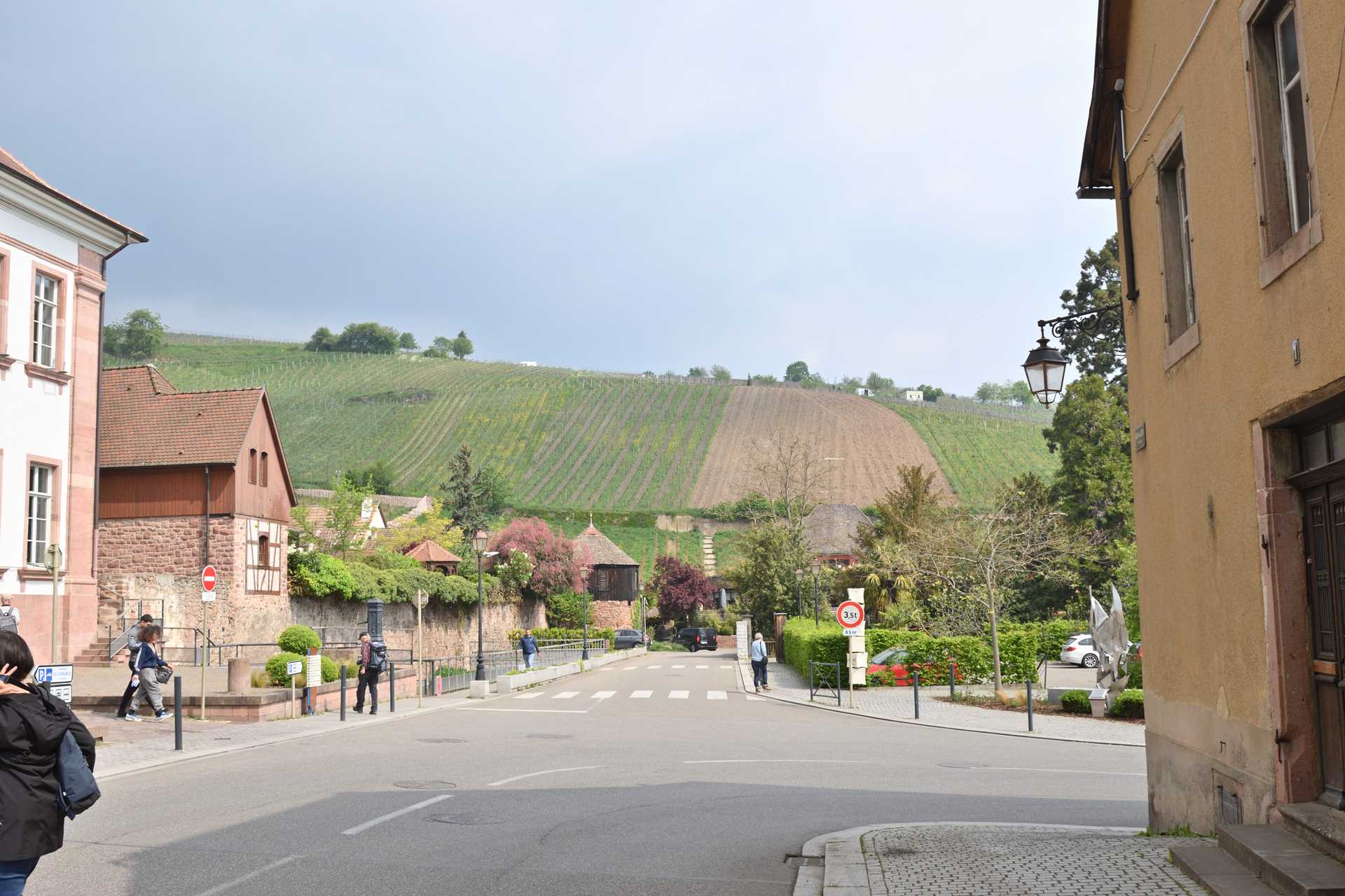 Colmar 4th Day Arrive at Riquewihr 1