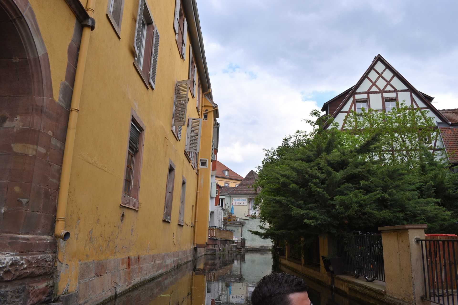 Colmar 3rd Day Sweet Narcisse Go 30