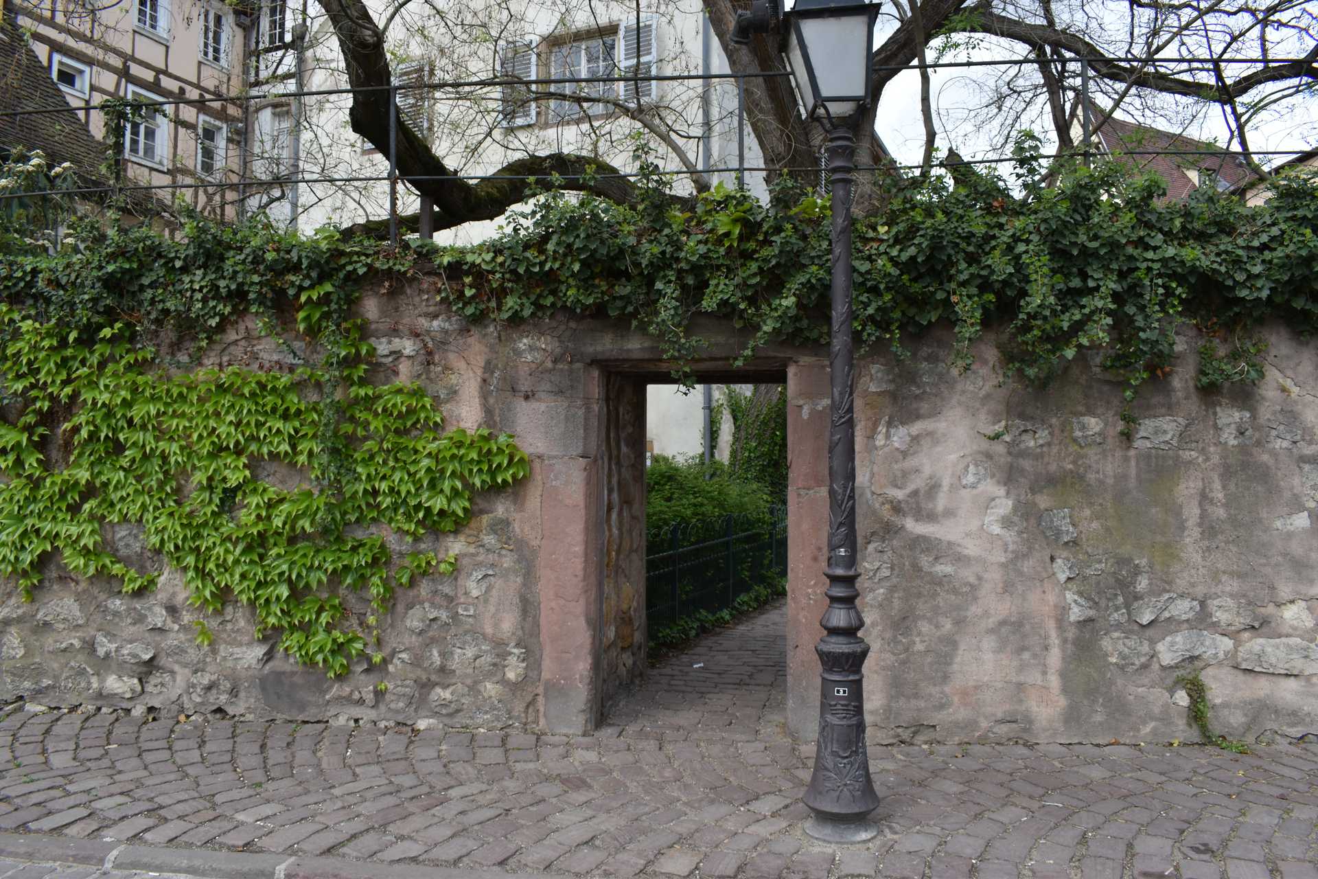 Colmar 2nd Day Rue de la Montagne Verte 1