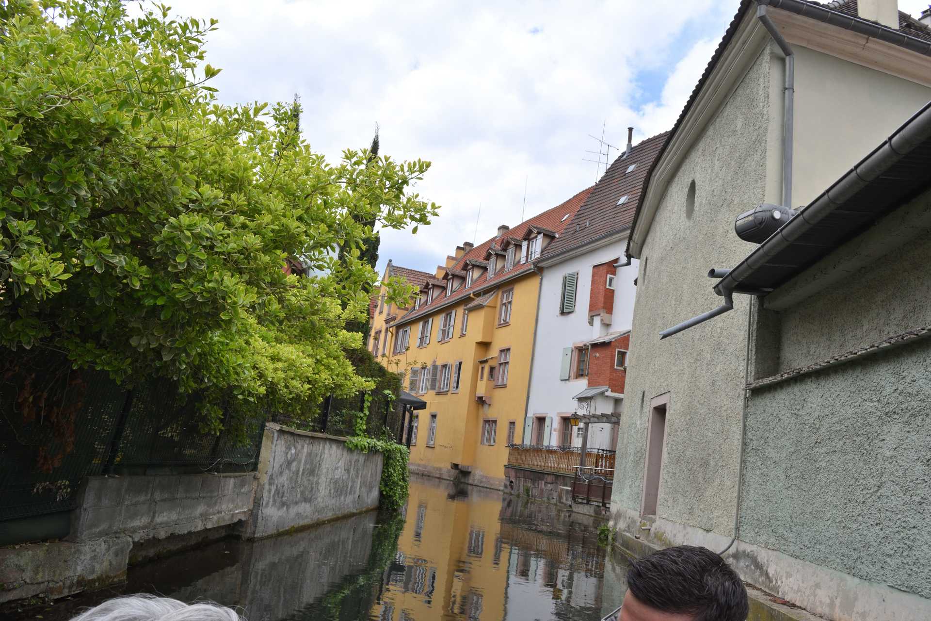 Colmar 3rd Day Sweet Narcisse Return 24
