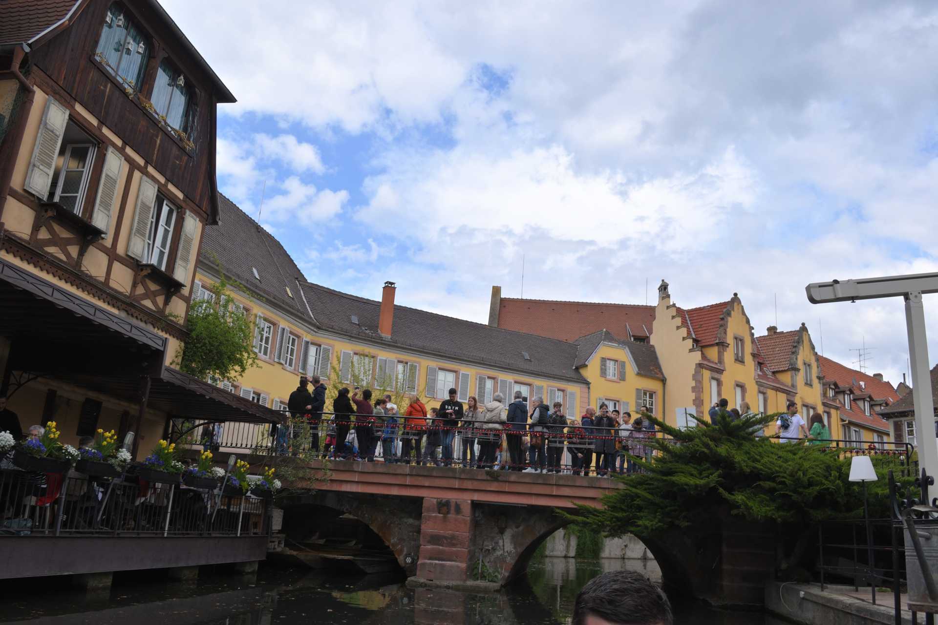 Colmar 3rd Day Sweet Narcisse Go 21