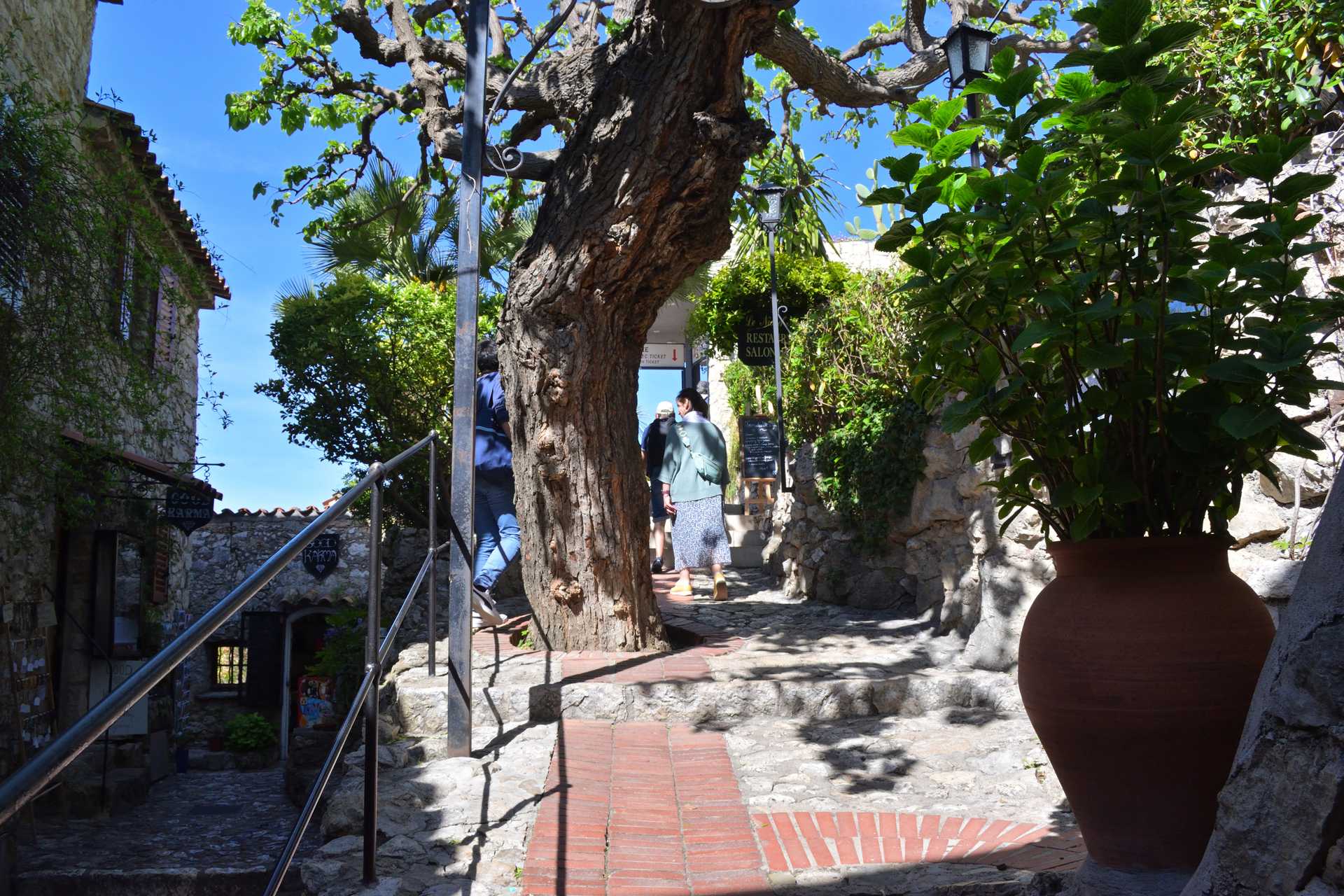 6th Day Eze Village towards Exotic Jardin 72