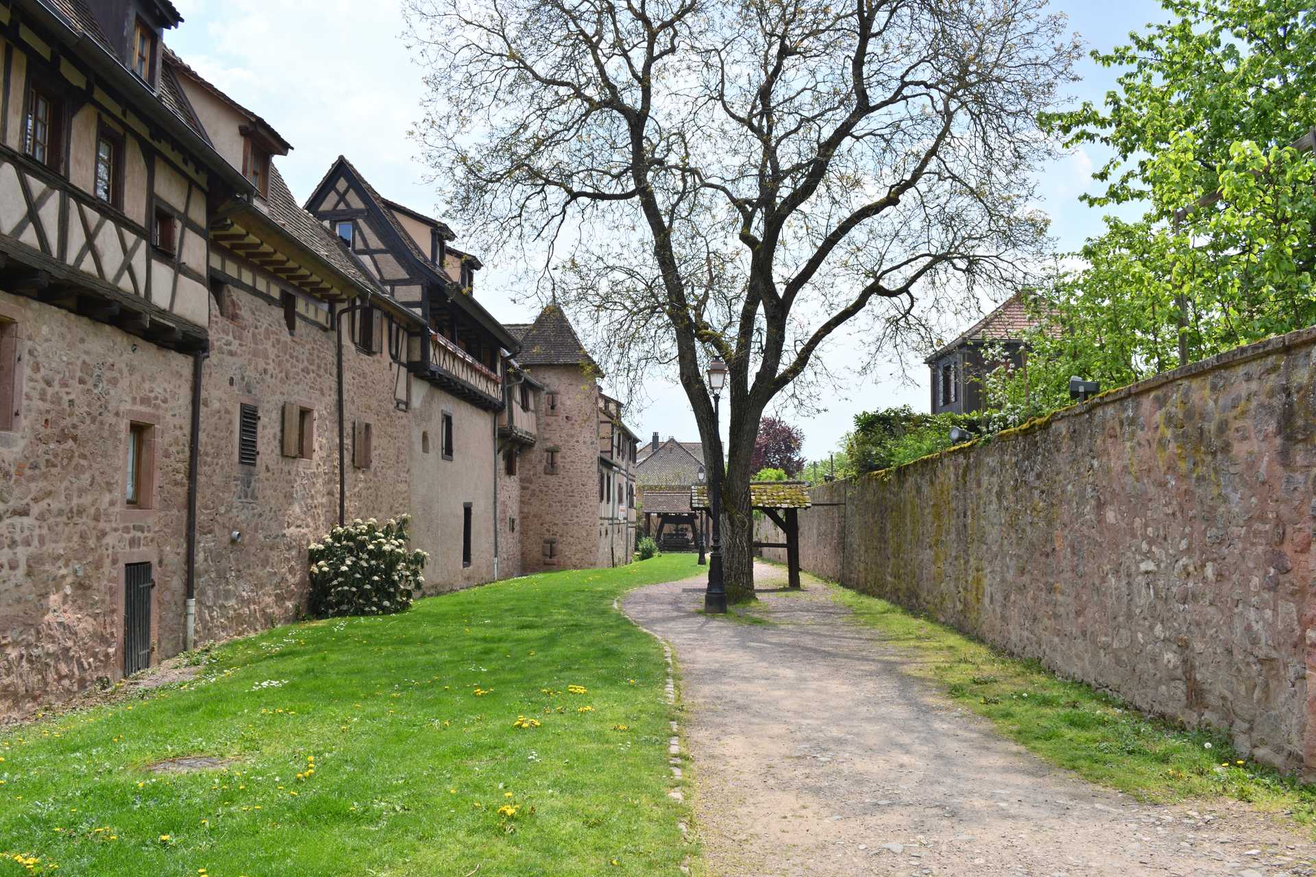 Colmar 4th Day Riquewihr La Porte Haute 6