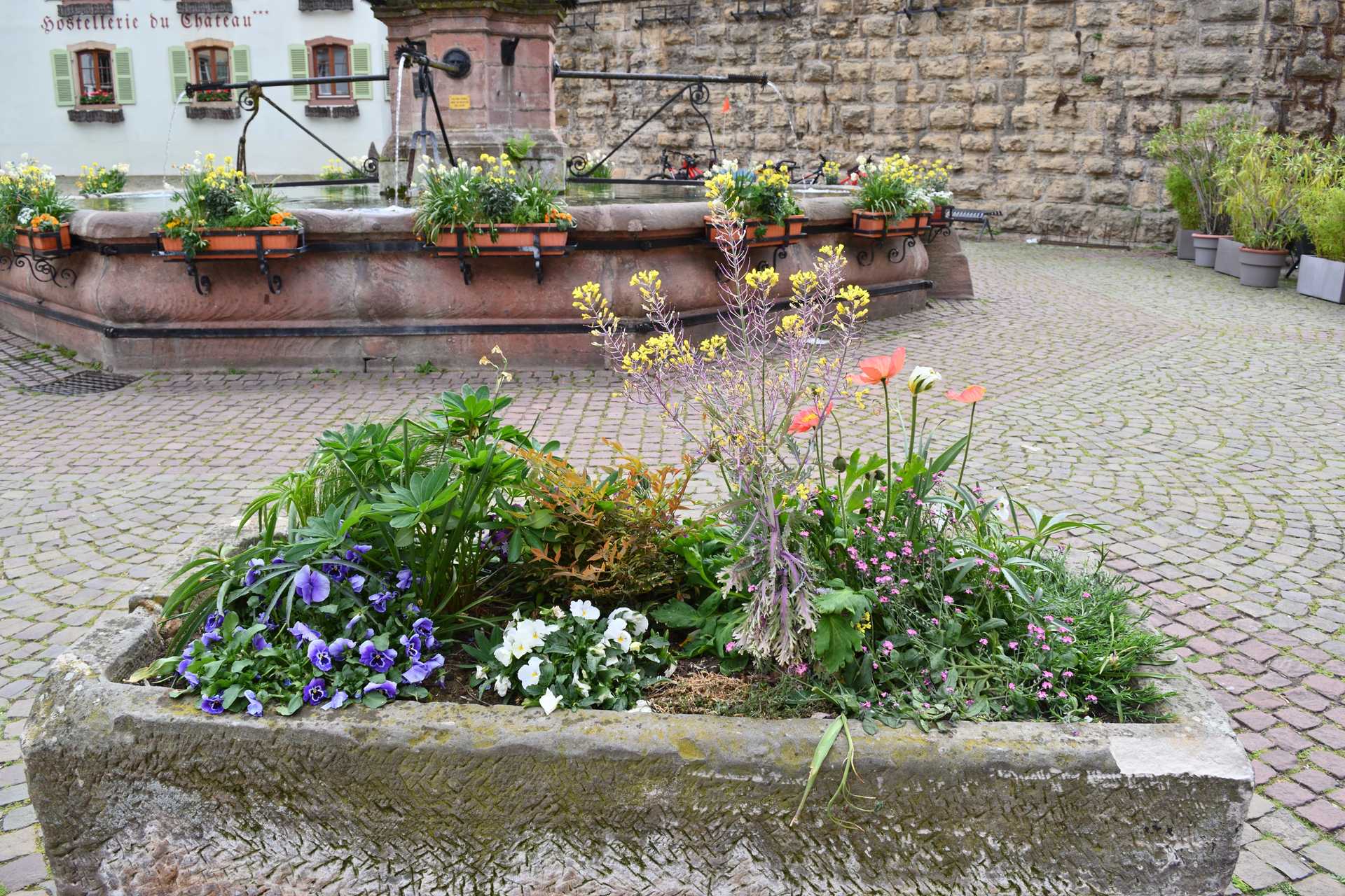 Colmar 3rd Day Eguisheim Pl du Chateau Saint Leon 19