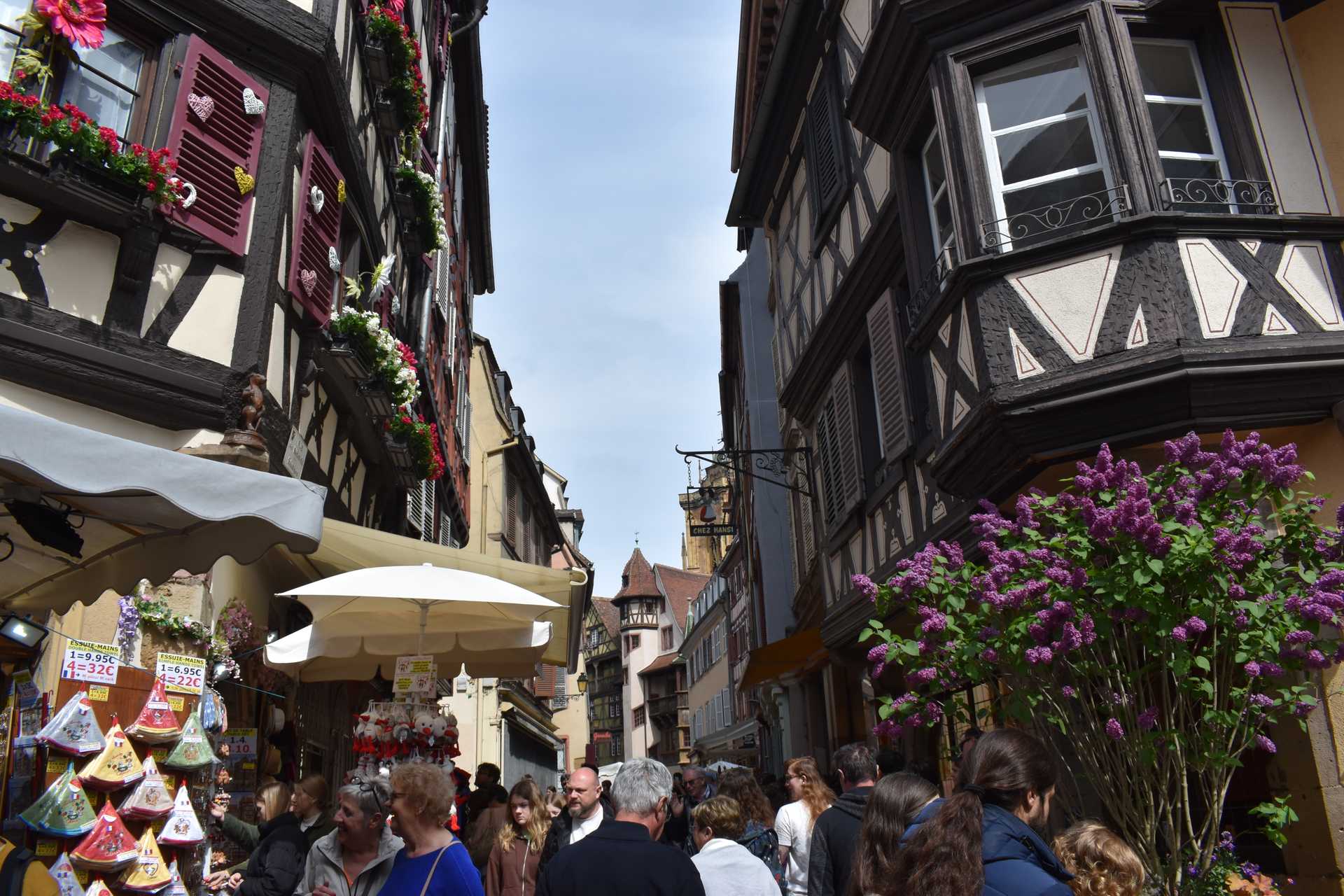Colmar 2nd Day Rue des Marchands 5