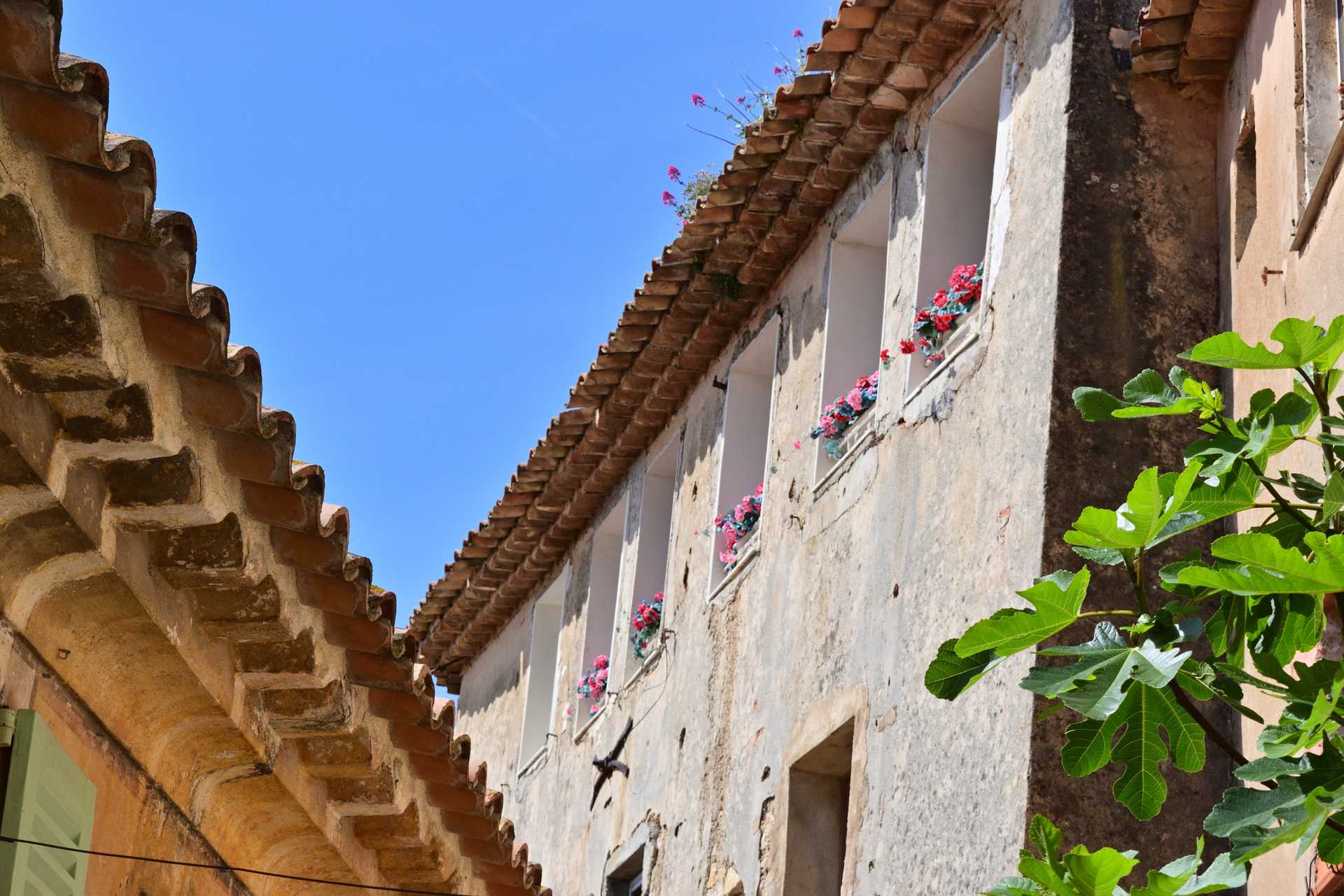 7th Day Eze Village Walk around the Village Center 19