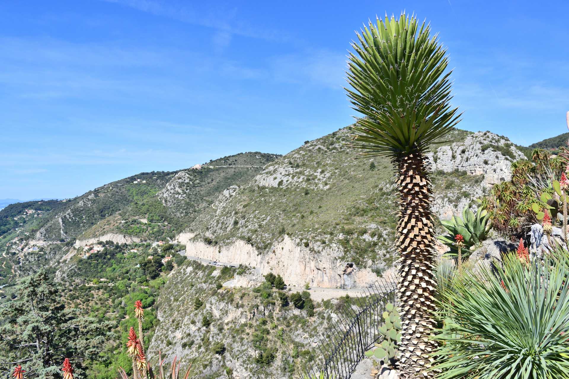 6th Day Eze Village Exotic Jardin to The Top 7