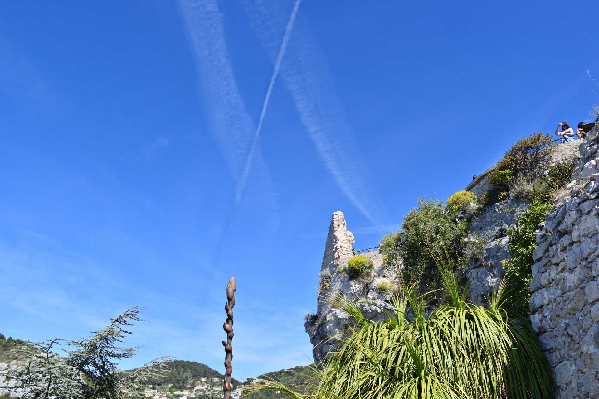6th Day Eze Village Exotic Jardin to The Top 13