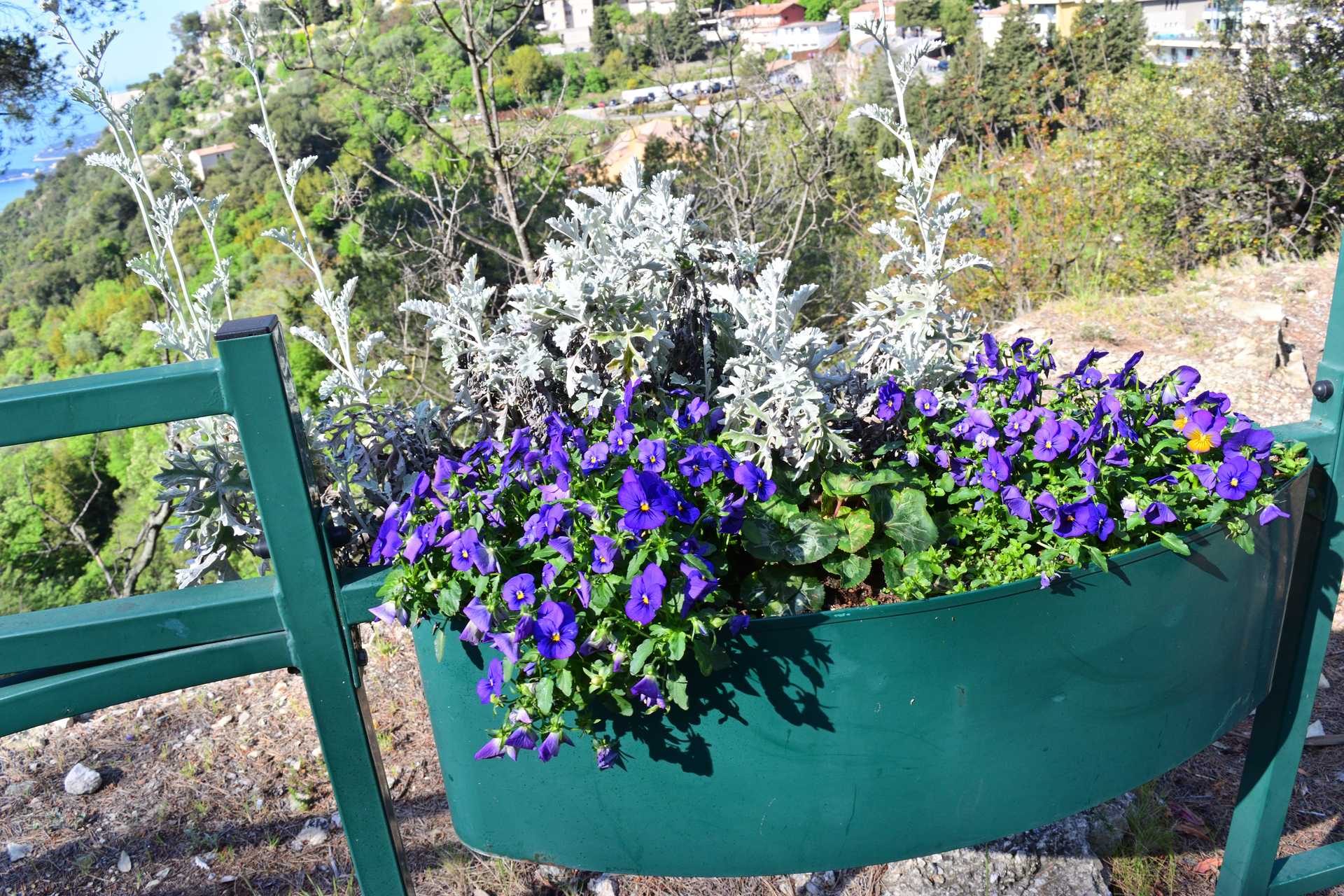 7th Day Eze Village Walk to Bus Stop Model 14