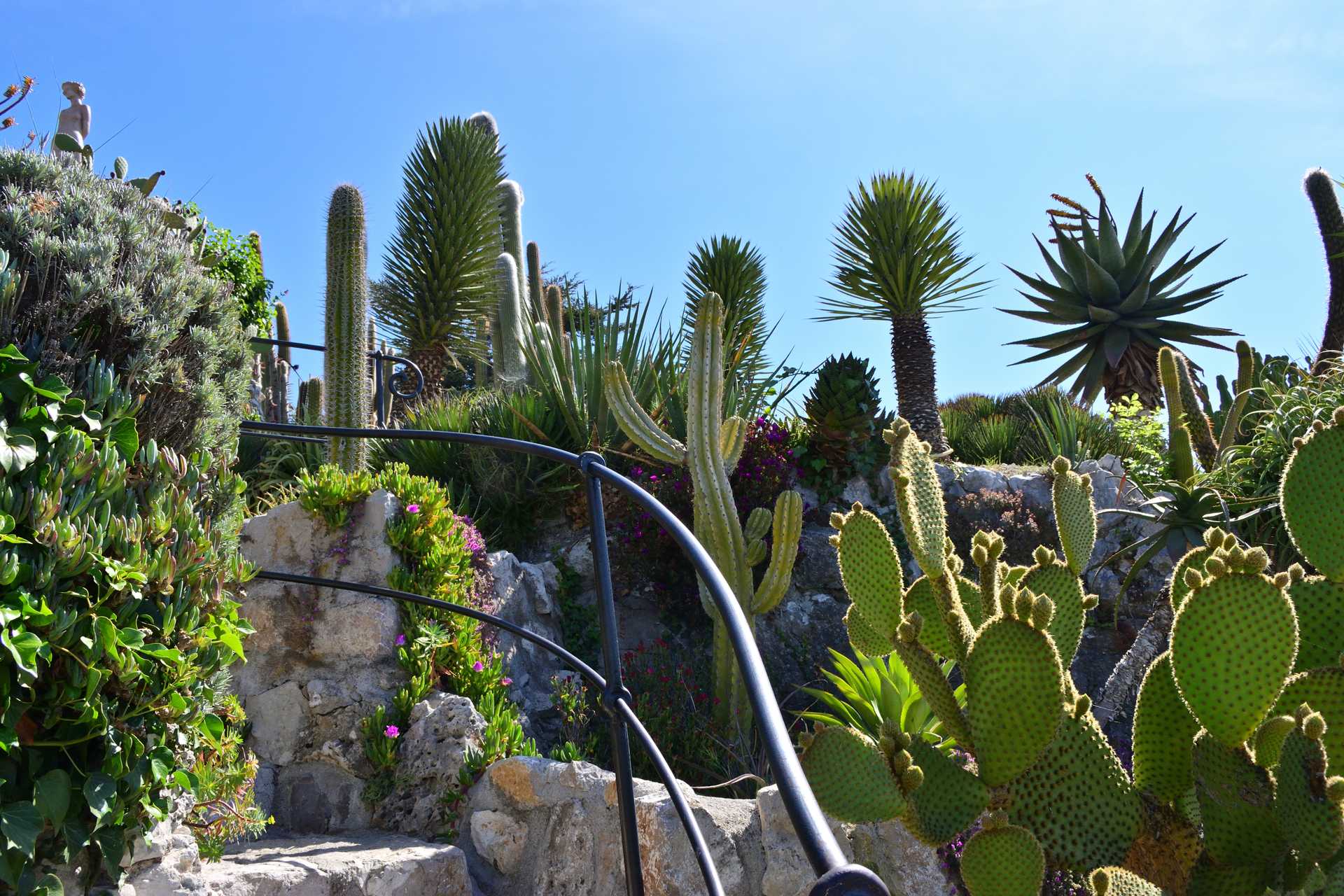 6th Day Eze Village Exotic Jardin to The Top 9
