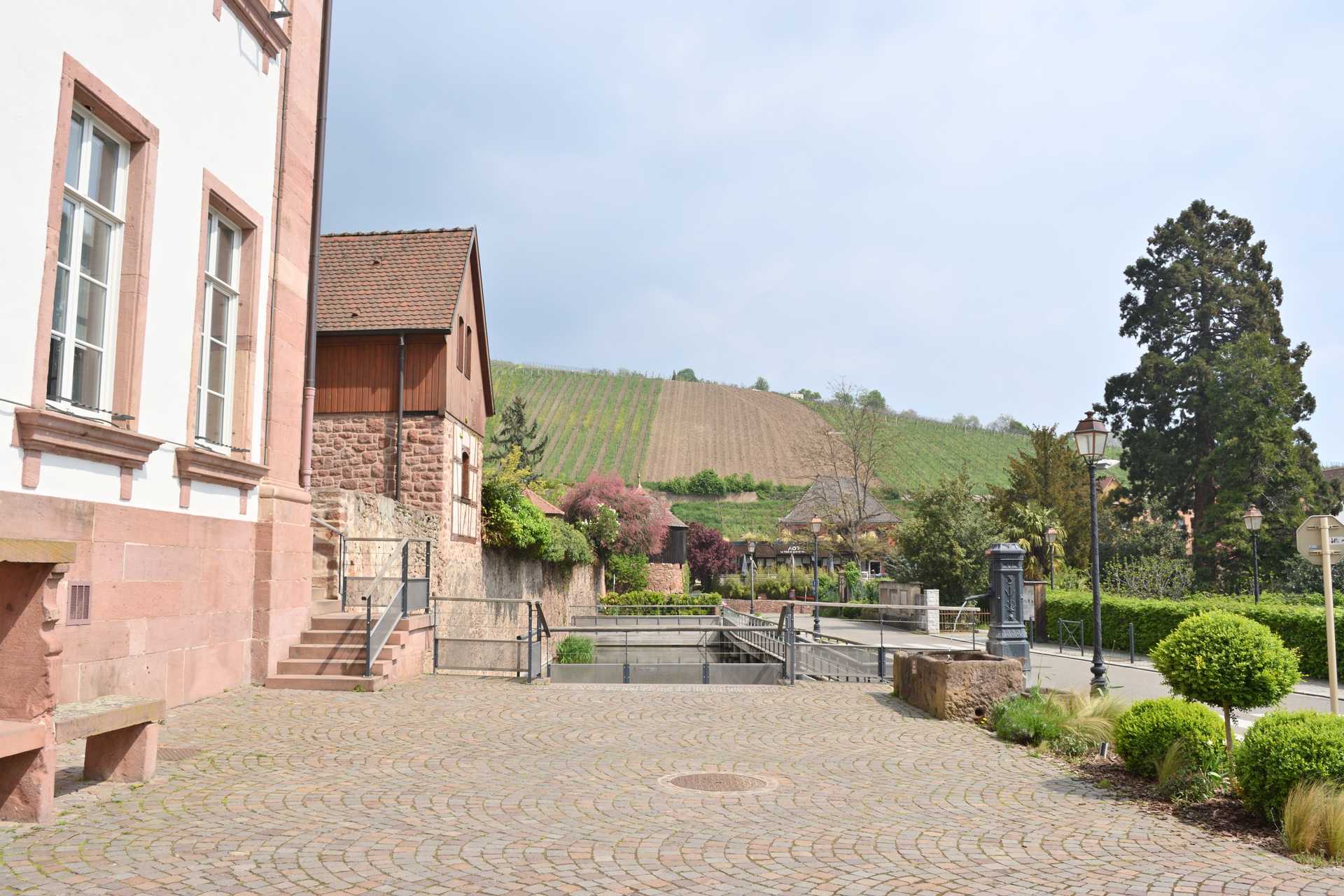Colmar 4th Day Arrive at Riquewihr 7