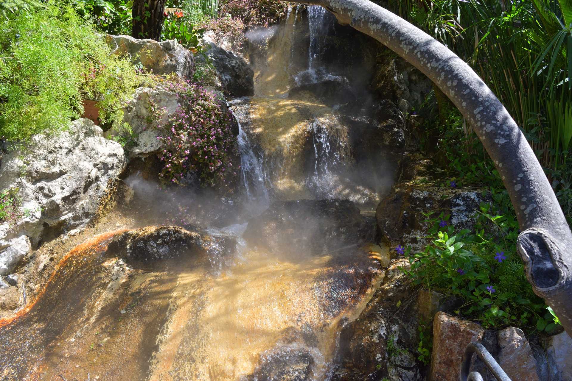 6th Day Eze Village Exotic Jardin Walk Around 76